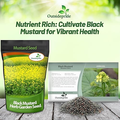 Vista 24 de Outsidepride Semillas de mostaza amarilla – 10000 piezas de semillas microverdes anuales ricas en nutrientes y sabrosas para plantar, fáciles