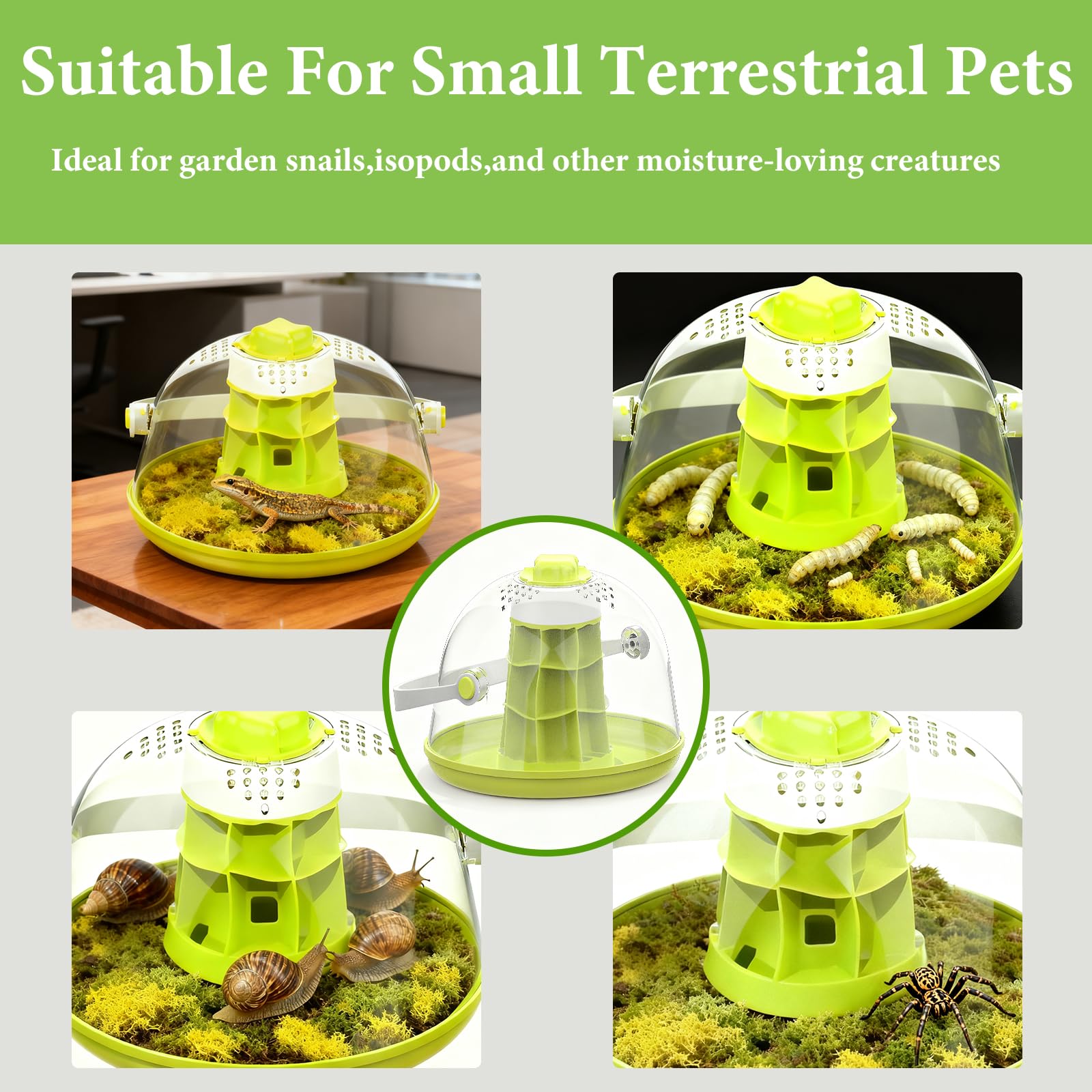 Kit de terrarium pour escargots - Enclos d'insectes - Terrarium d'observation - Récipient d'observation des mantes priantes - Boîte d'élevage - Kit de démarrage pour coccinelles, araignées, petits