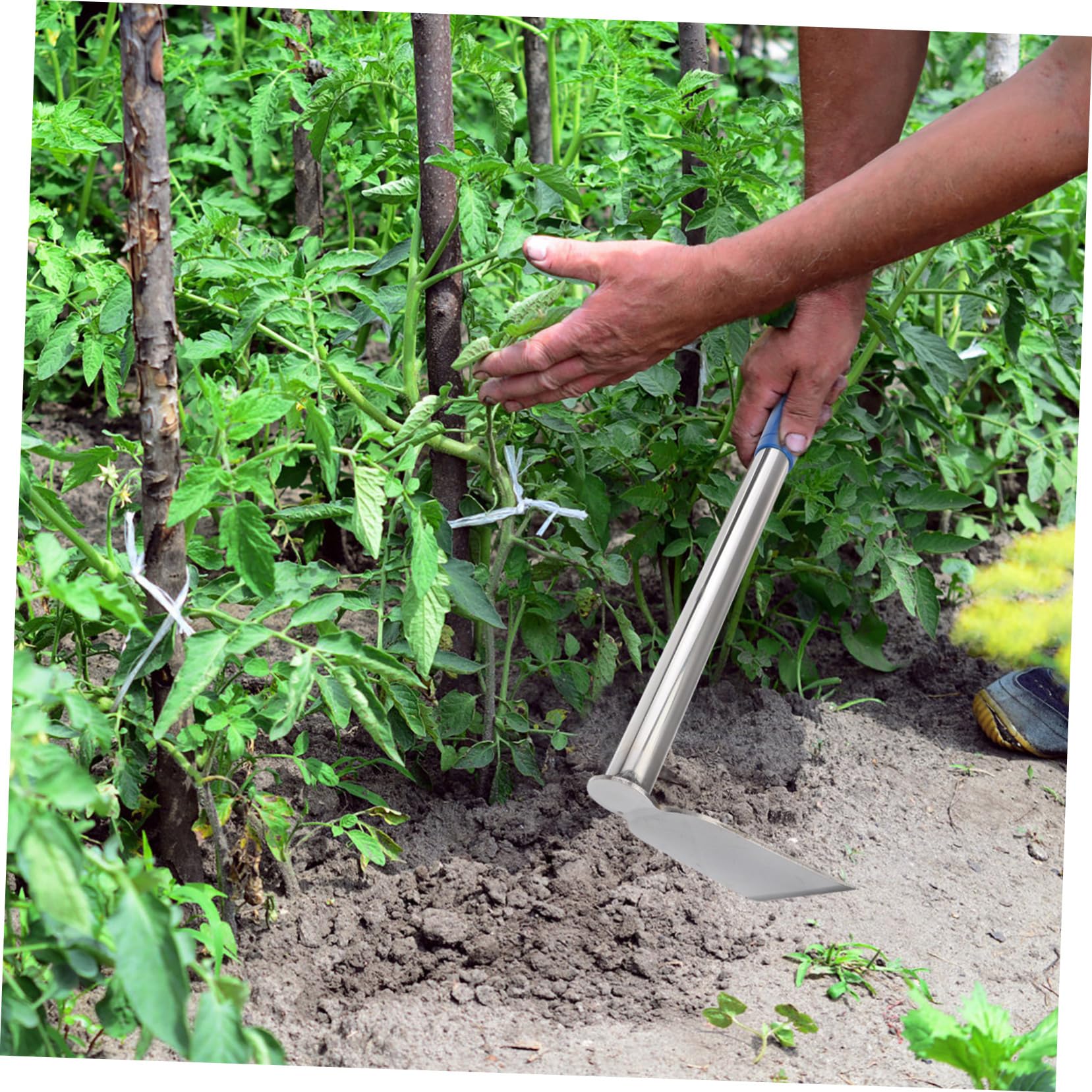 Abaodam 2 Stck. Gartenhacke Werkzeug Hochleistungs-Stahlweinehohne Hacke für den Gemüseanbau Erdhacke Gartenversorgung Hacke zum Pflanzen von Blumen Rostfreier Stahl Silver
