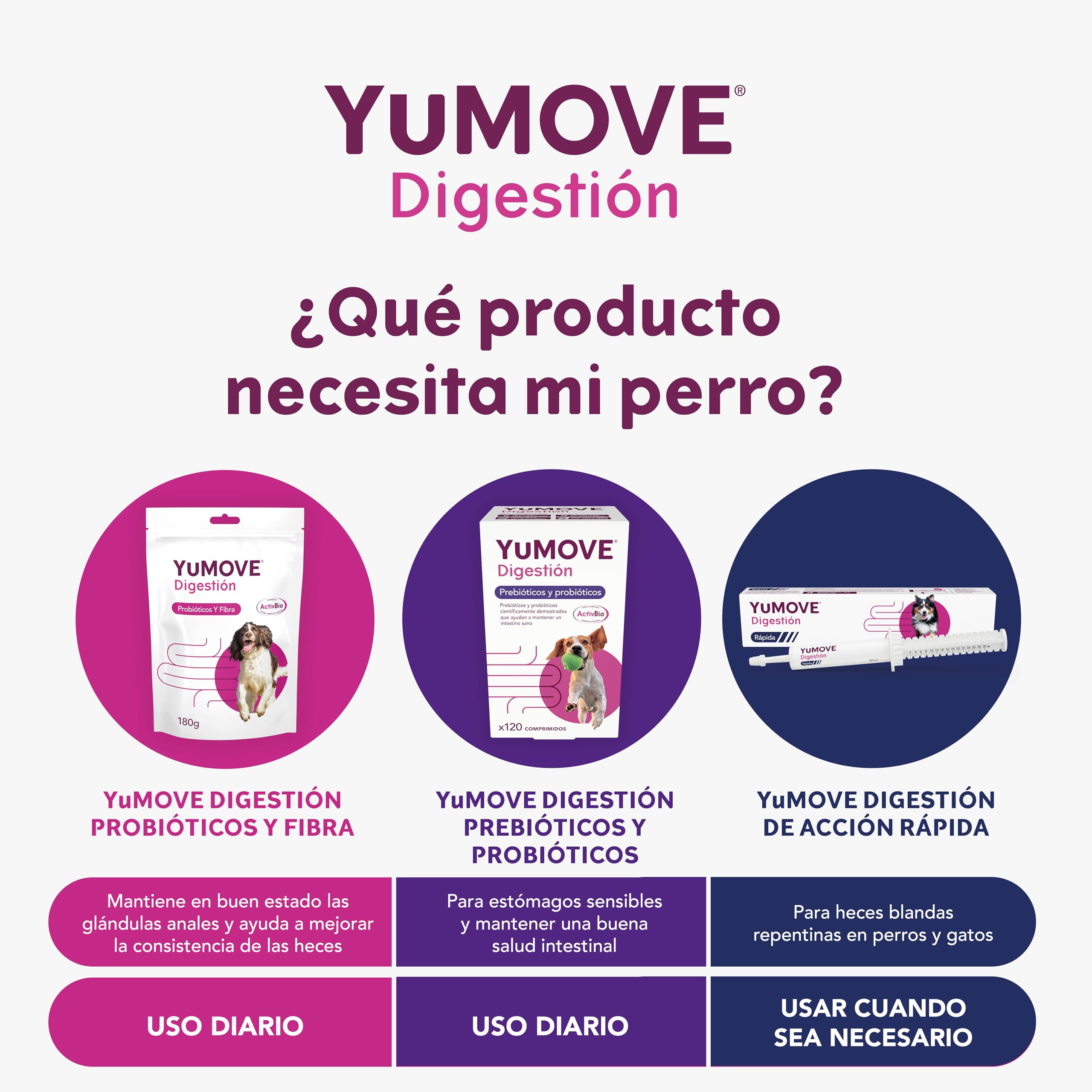 YuMOVE Probióticos para Perros 120 Pastillas - Fórmula ActivBio con L. Acidophilus, B. Bifidum & Prebióticos para Perros Naturales - Appoyo Intestinal, Digestión Saludable & Bienestar Canino Diario