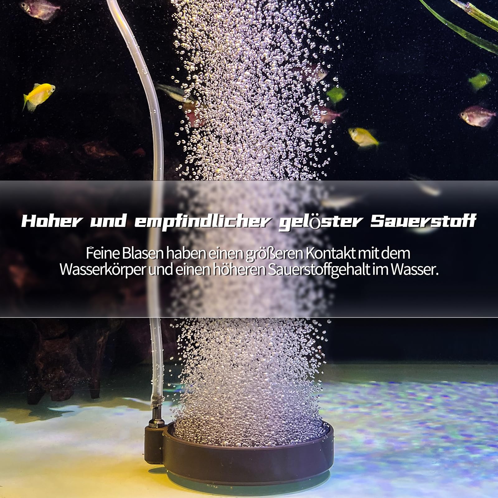 boxtech Kit pietra porosa per acquario (S - 130 mm)