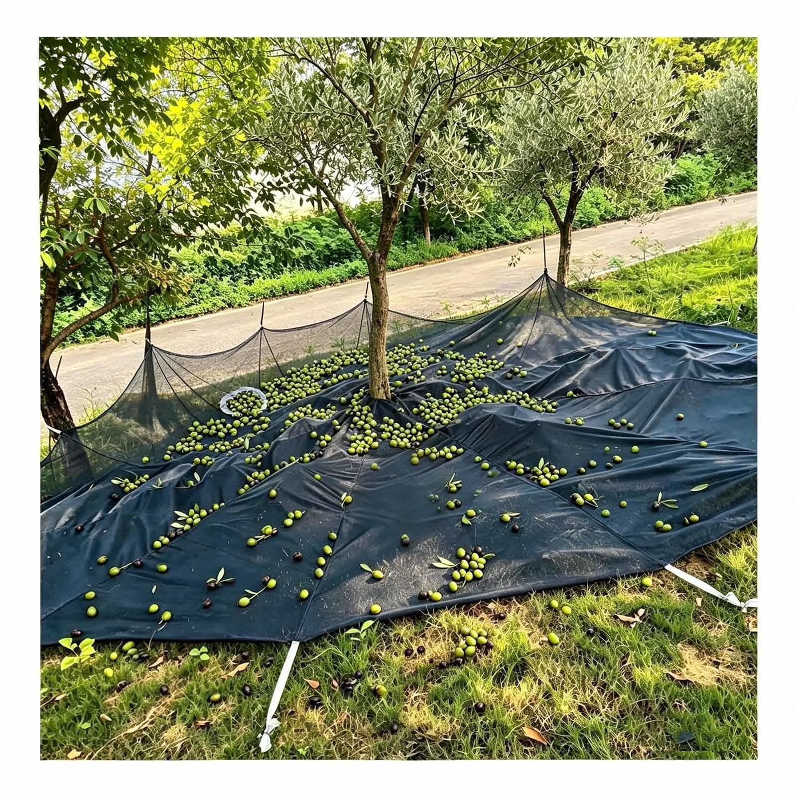 Red De Cosecha para árboles Frutales Equipado con Abertura De Descarga, Cierres De Gancho y Bucle y Correas De Fijación, Reutilizable,black-Round-13 * 12.5ft（4 * 3.8m）