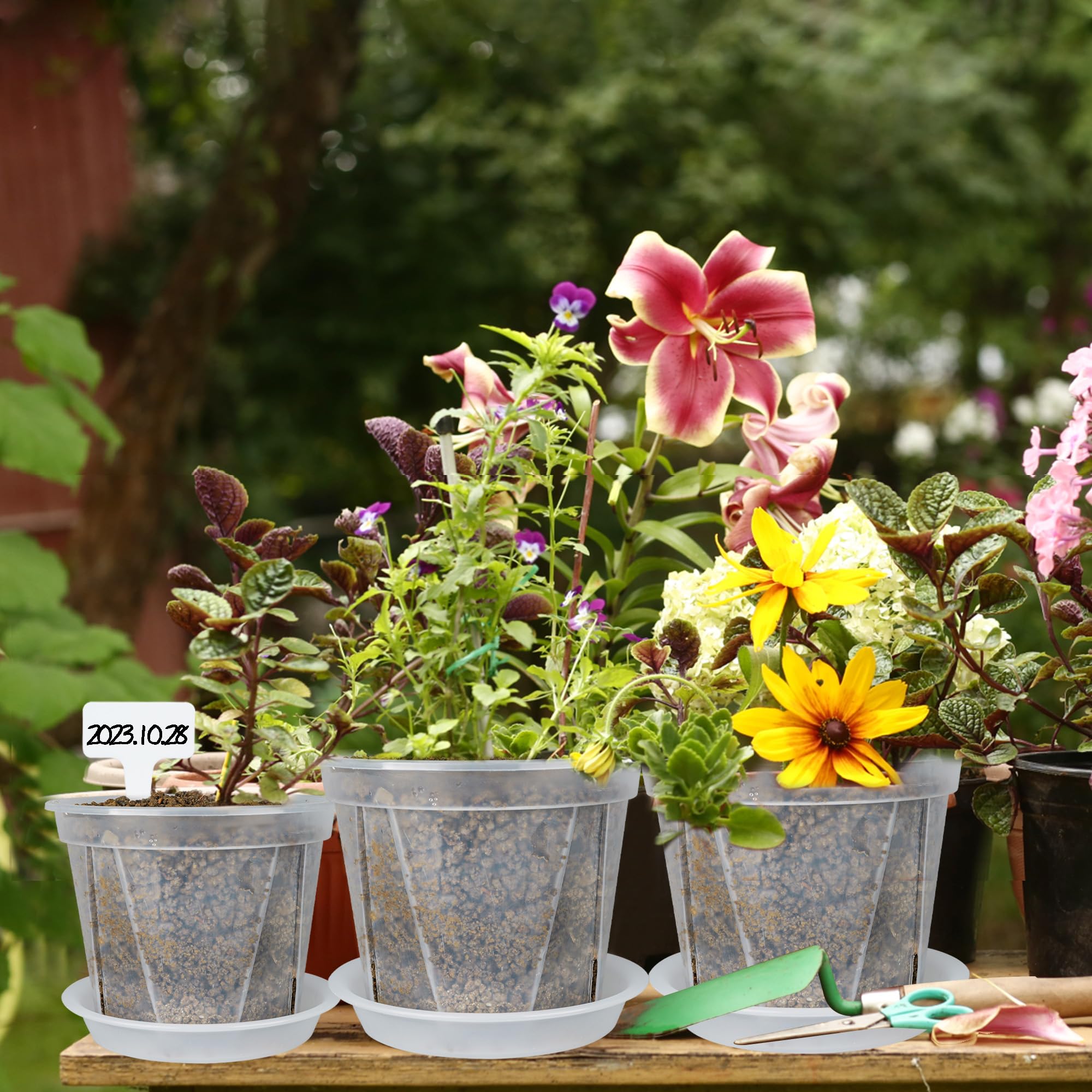 Lot de 15 pots de jardin en plastique transparent avec plateaux avec trou de drainage pour plantes d'intérieur, légumes, fleurs avec 50 étiquettes