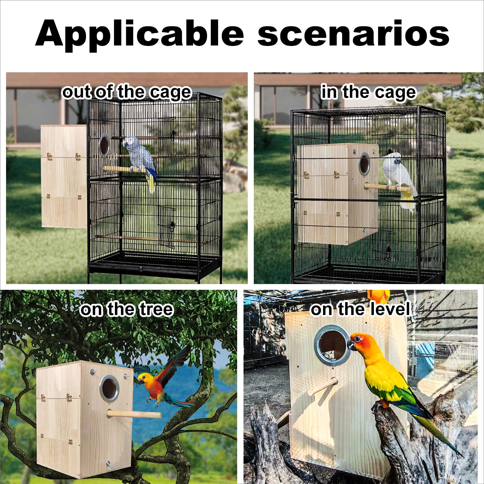 Natural Avian Adoption Near Me Second Chance Bird Reptile Rescue