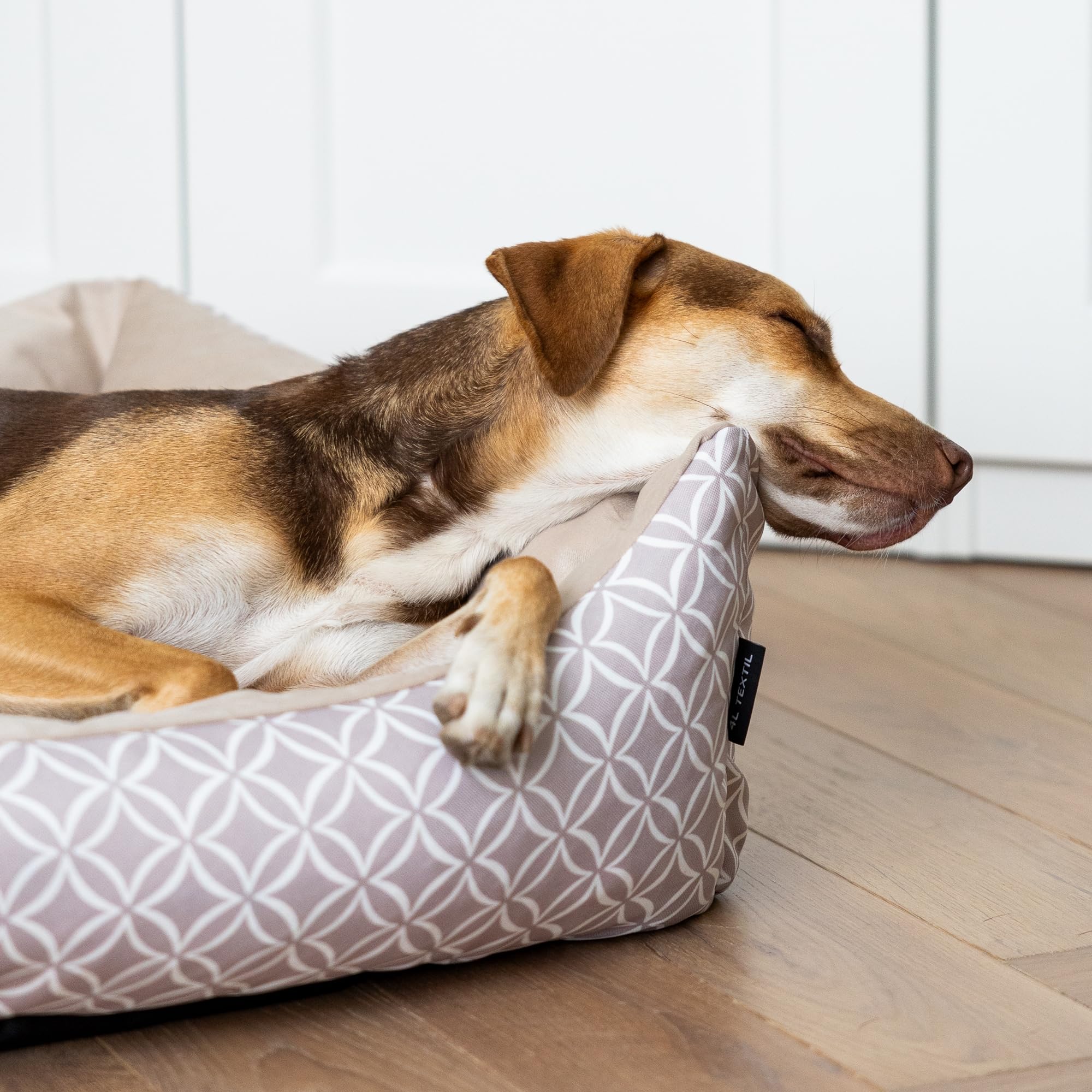 hund aufs sofa Flauschiges Hundebett für dein Sofa – Komfort & Schutz entdecken