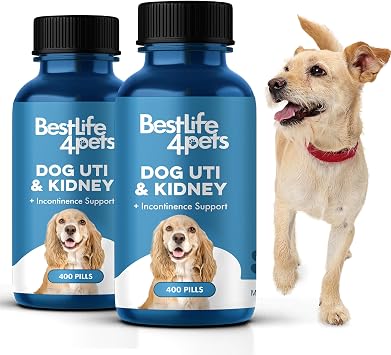 Dog UTI Treatment & Kidney Health Formula Natural Dog Urinary Tract Supplements to Manage Urine Frequency & Leaks Bladder Control Support for Urinary Incontinence & Renal Health 2 Pack