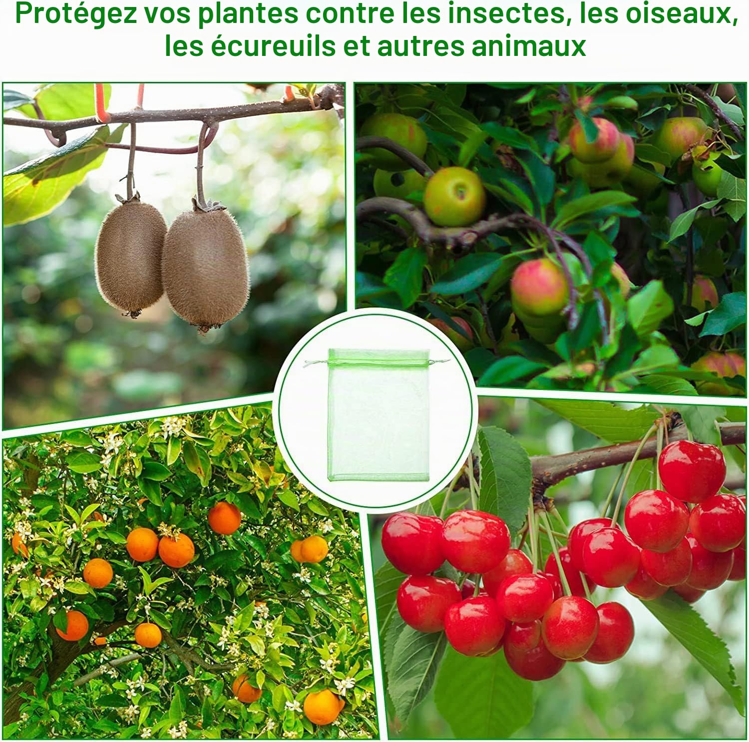 60 Pièces Sac Protection Raisin, Sacs Filets Protection Vert Sac Organza avec Cordon, Sacs Filets Protection des Grappes de Raisins Contre Guêpe Drosophile Scarabées Oiseaux, 20 * 30cm