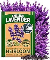 HOMEGROWN Non-GMO English Lavender Seeds 1500+ | High Germination Heirloom Lavandula Angustifolia for Indoor/Outdoor Gardens