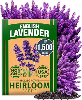 HOMEGROWN Non-GMO English Lavender Seeds 1500+ | High Germination Heirloom Lavandula Angustifolia for Indoor/Outdoor Gardens