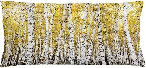 Ambesonne Funda de cojĂn con diseño de bosque, bosque de abedul de otoño, hojas amarillas doradas, bosque, octubre, imagen de la naturaleza Ambesonne Funda de cojĂn con diseño de bosque, bosque de abedul de otoño, hojas amarillas doradas, bosque, octubre, imagen de la naturaleza