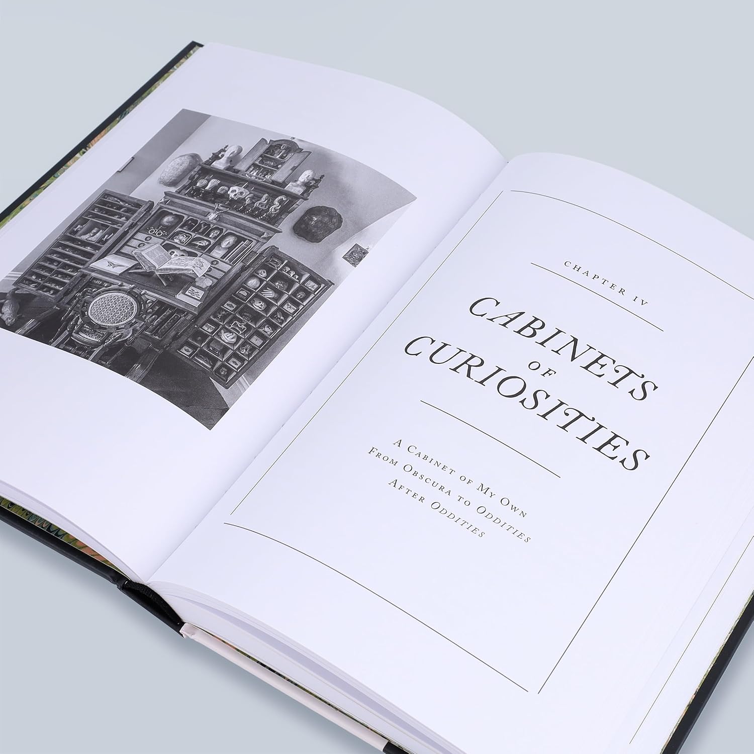 The Witch's Door: Oddities and Tales from the Esoteric to the Extreme - Image 9