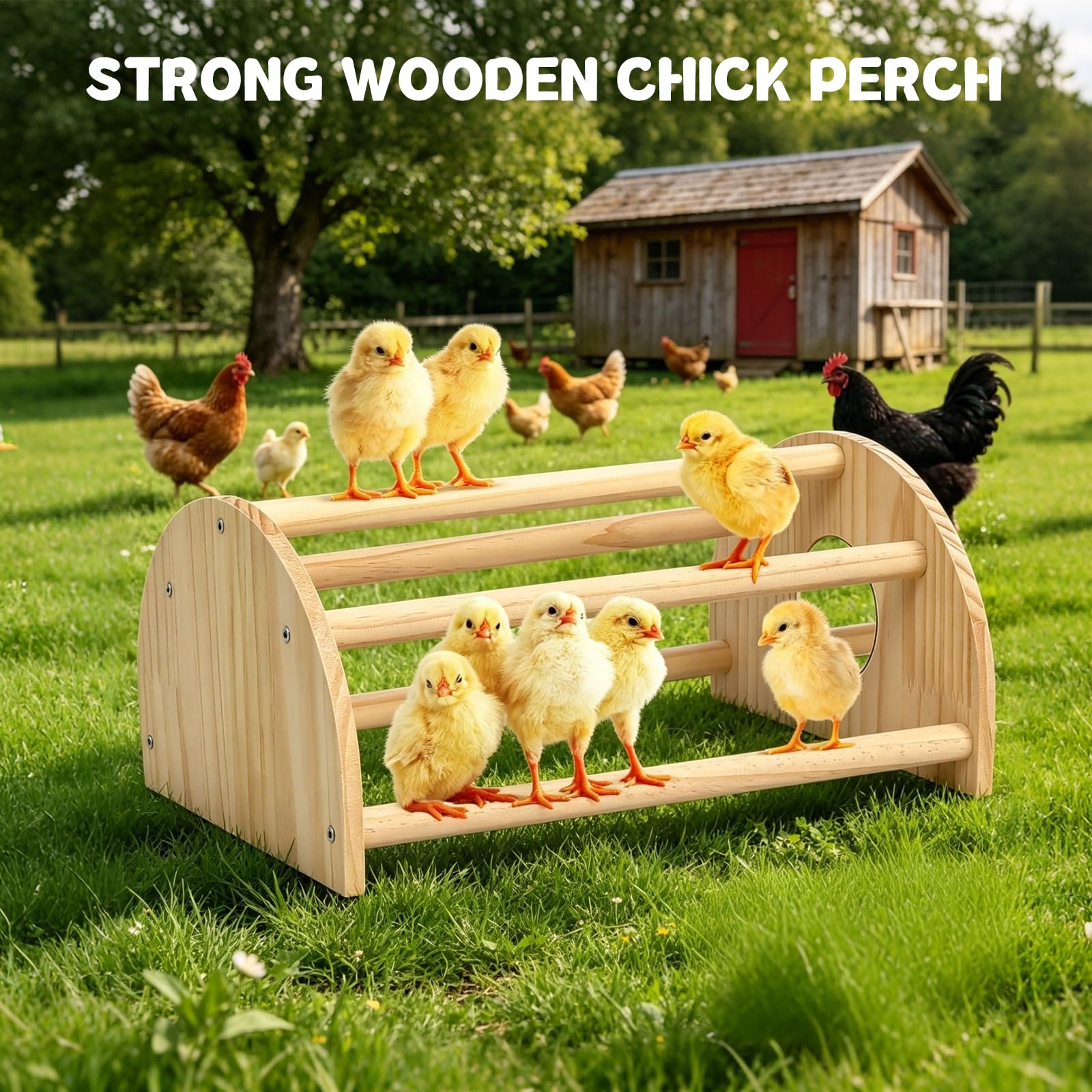 Perca de pollitos de pino con espejo, barra de gallo fuerte de la selva, juguetes de perca de pollo para gallinero y criadora, juguetes de perca de entrenamiento para pájaros grandes, loros