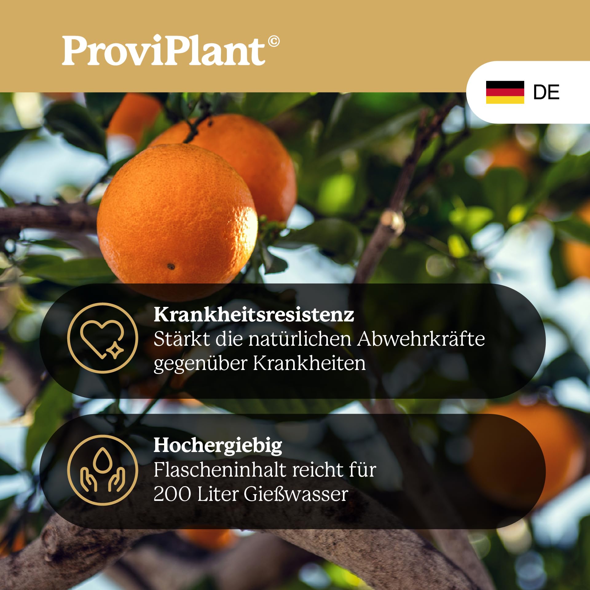 Zitrus Flüssigdünger – Für Zitronen-, Orangen-, Limetten- & Kumquatbäume – 1 Liter Konzentrat für bis zu 200 Liter Gießwasser – Indoor & Outdoor – Made in Germany