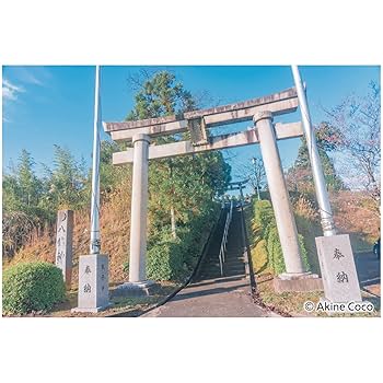 Amazon | ケンコー(Kenko) ソフトフィルター ノスタルトーン