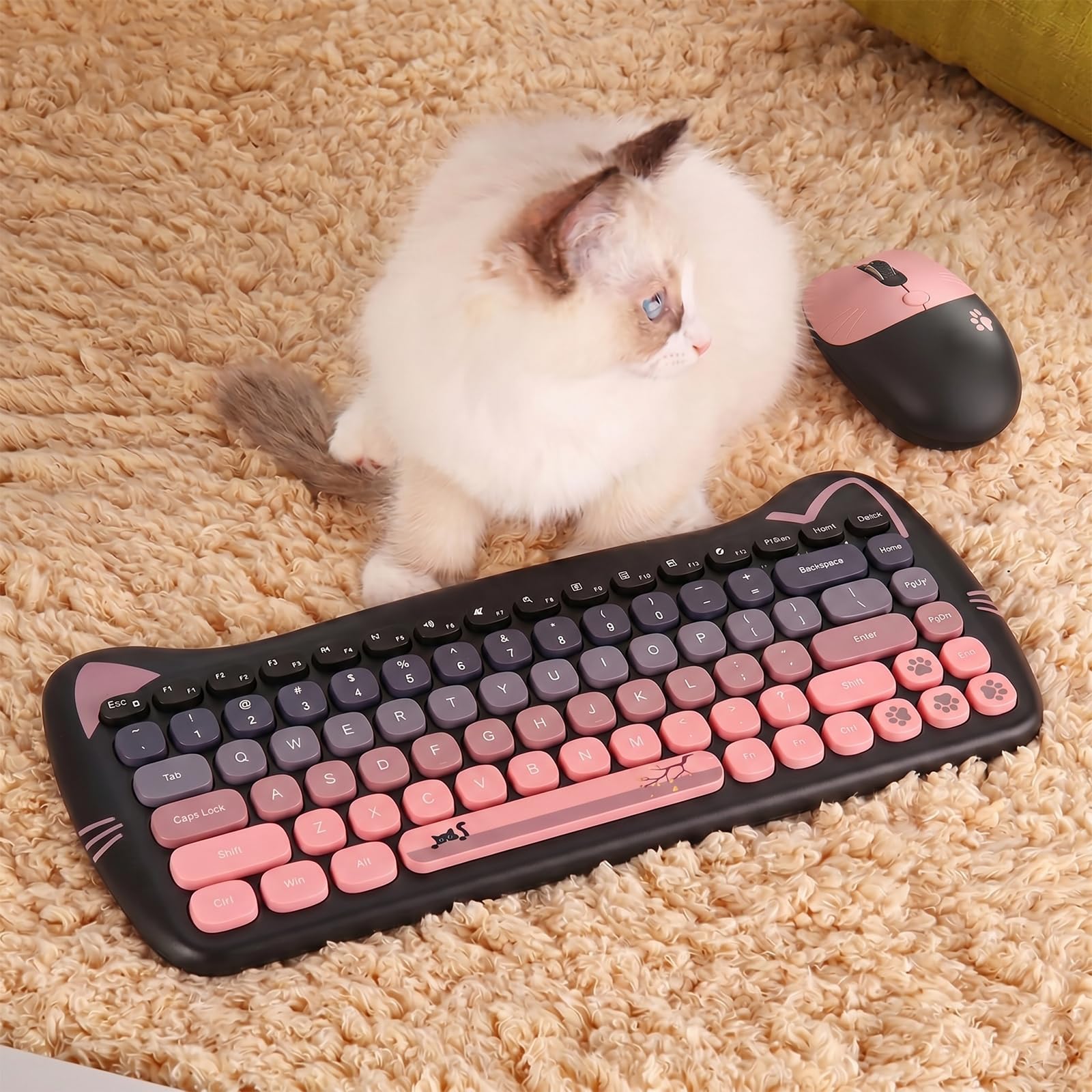 Cute Cat 2,4 G USB-Tastatur und Maus, kabellose Tastatur- und Maus-Kombination, leise Tasten, Bonbonfarben, kompatibel mit Notebook, PC (BlackPink-84Keys)