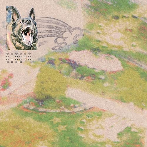 Girl with Fish OPAQUE