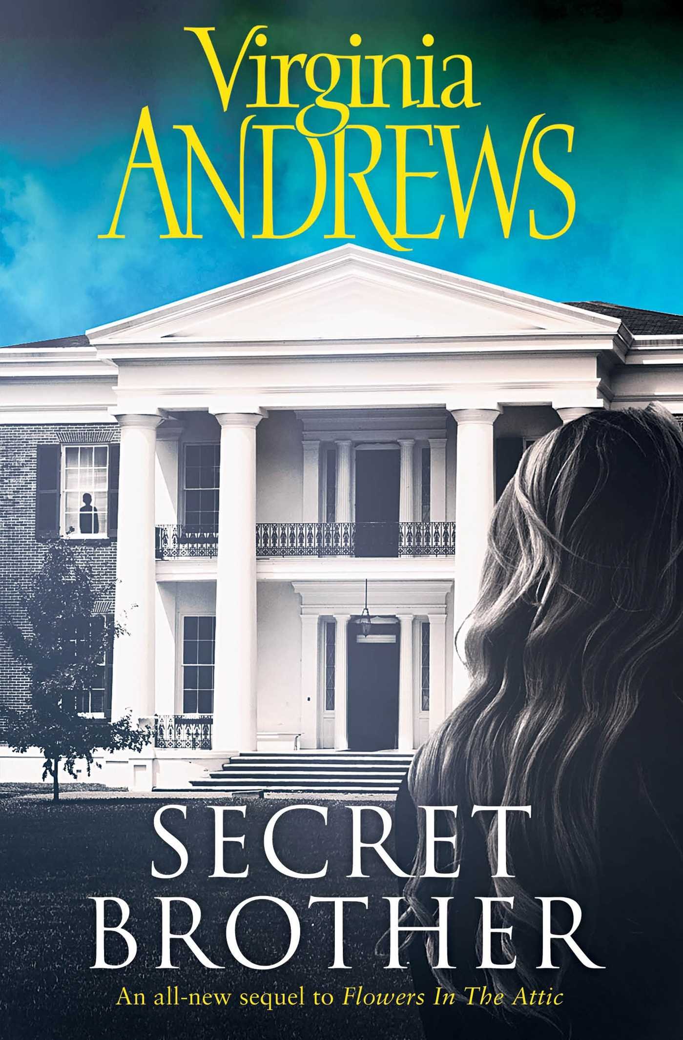 Secret Brother (CHRISTOPHER'S DIARY)