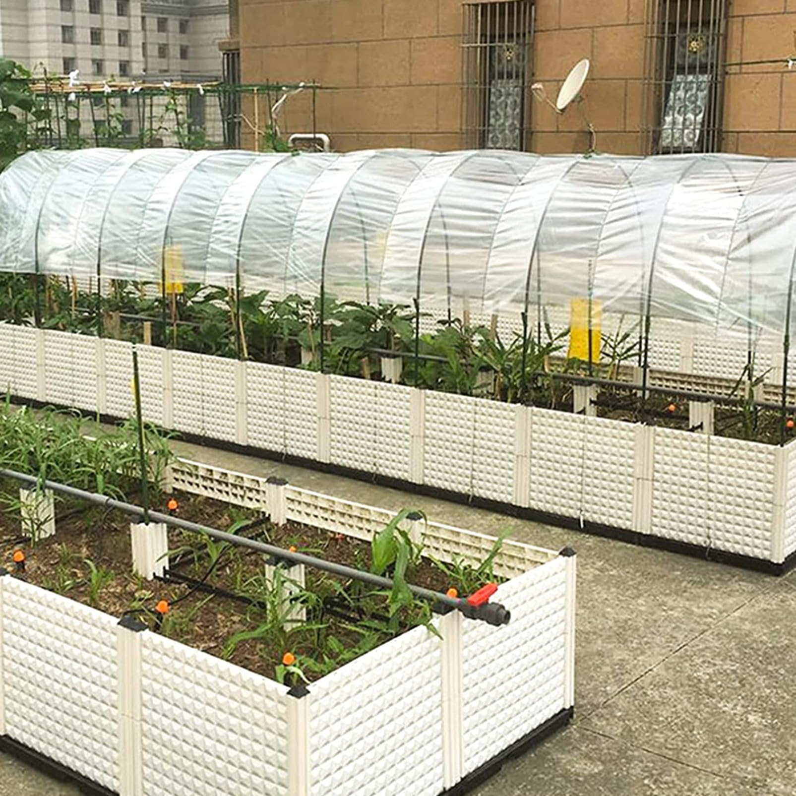 Bâche pour Serre 3M Polyéthylène Extra Épais Film Transparent Résistant Jardin Polytunnel Protection