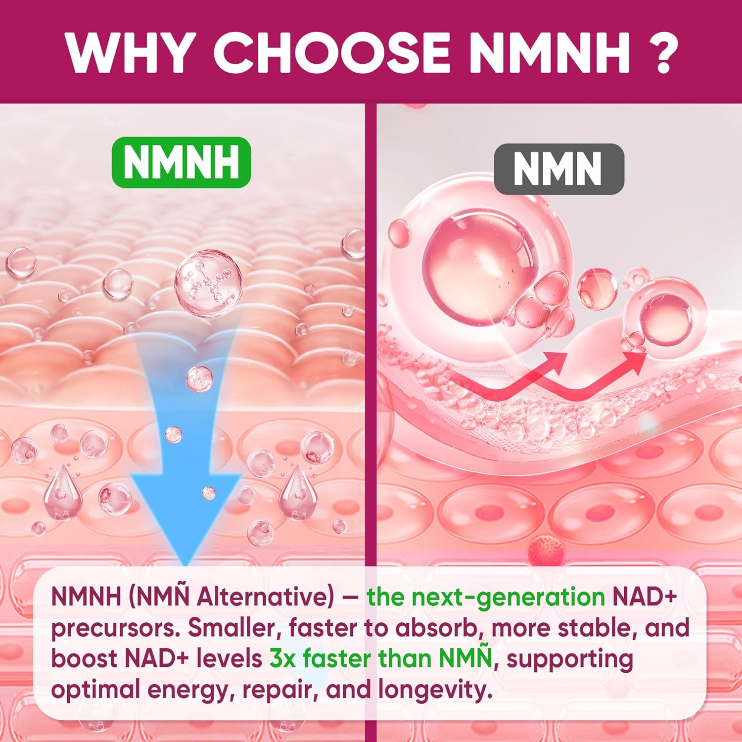 NMNH Gummies 300MG for Longevity with Urolithin A, Polyphenol Blend, Resveratrol, NAD+ Supplement for Women & Men Boost NAD+ Levels, Optimized Aging, Cell, DNA Repair, Energy, Focus, Sugar Free, 60cts - Image 4