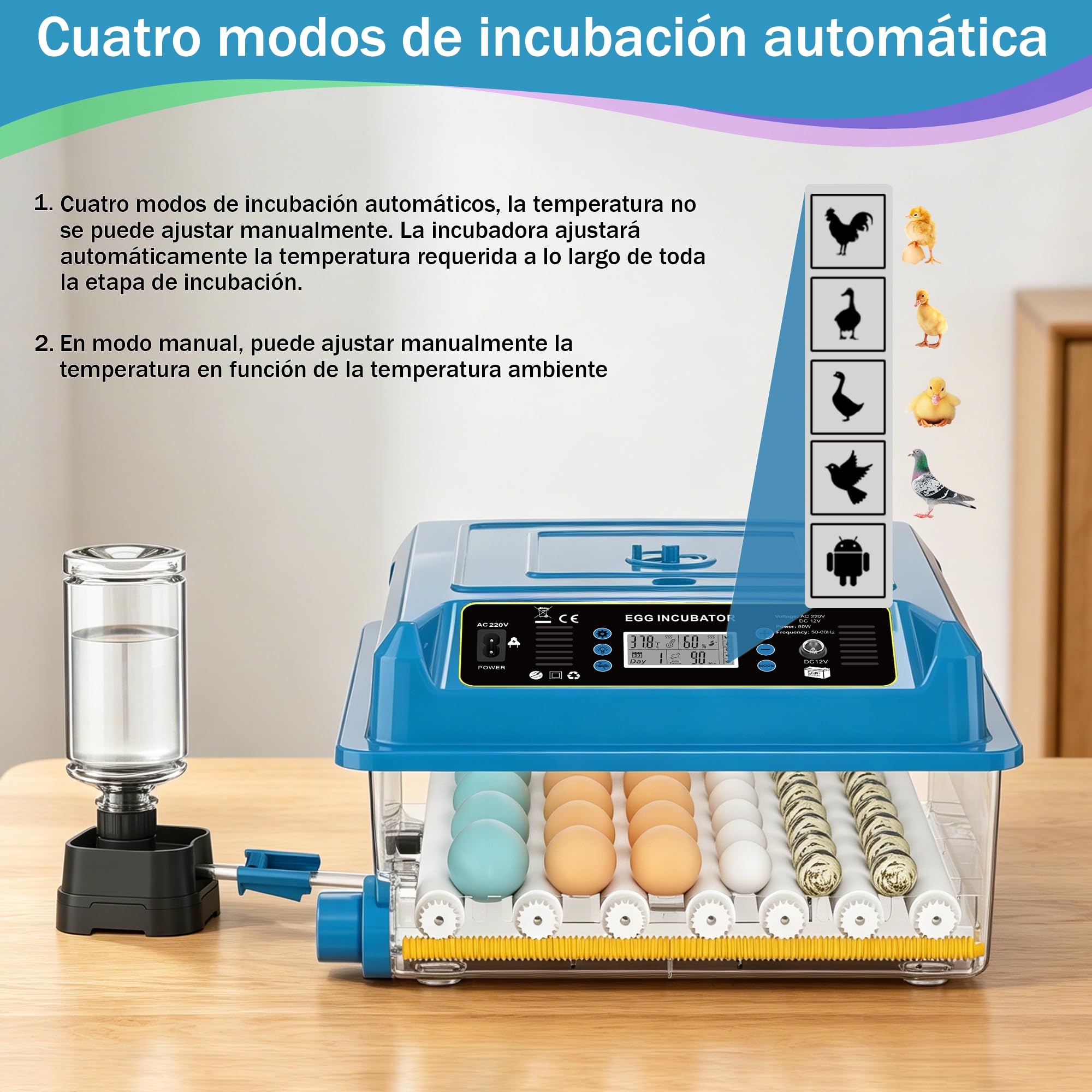 Incubadora de huevos para incubar pollos con control de temperatura y giro automático (azul, 36 huevos)