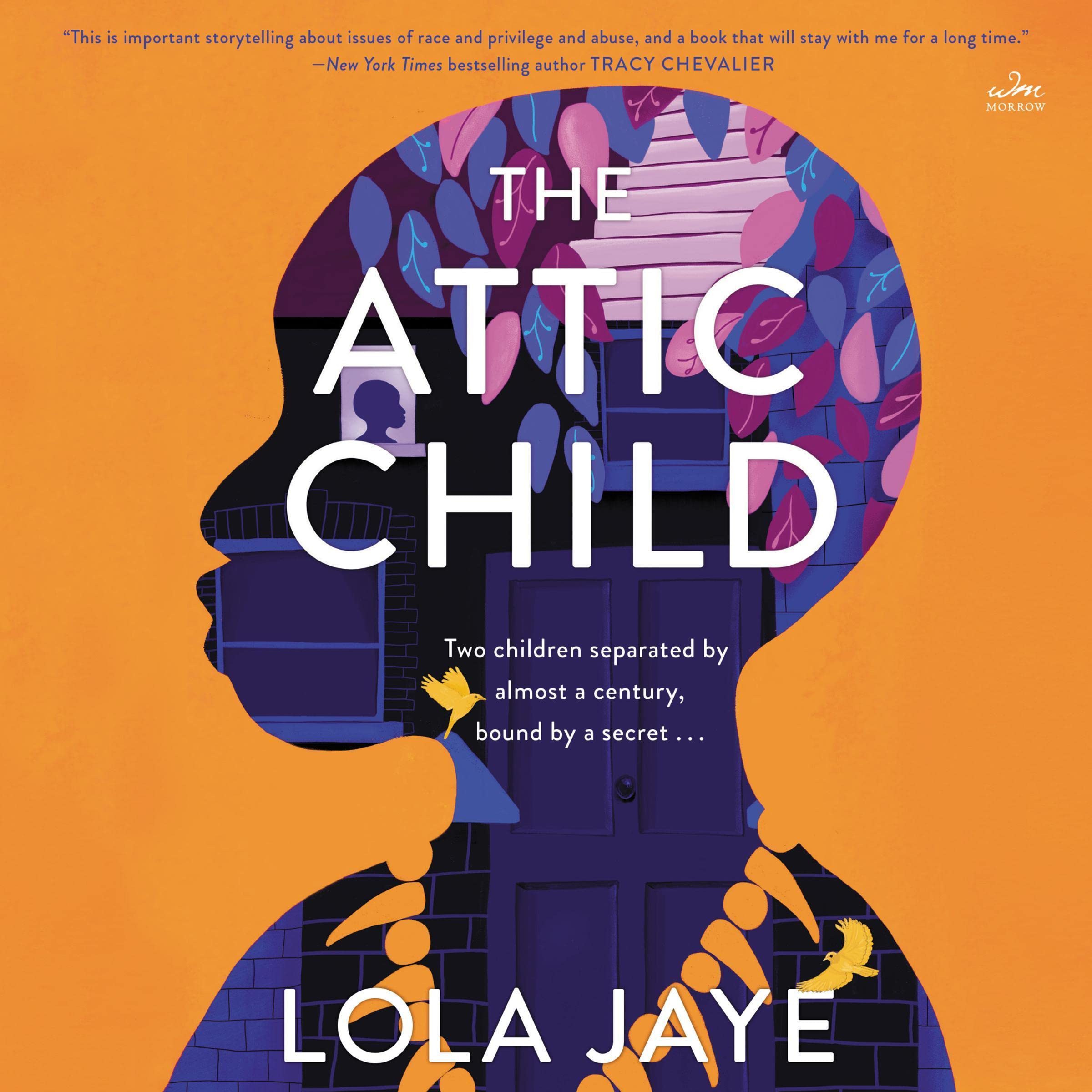 Cover art for The Attic Child
