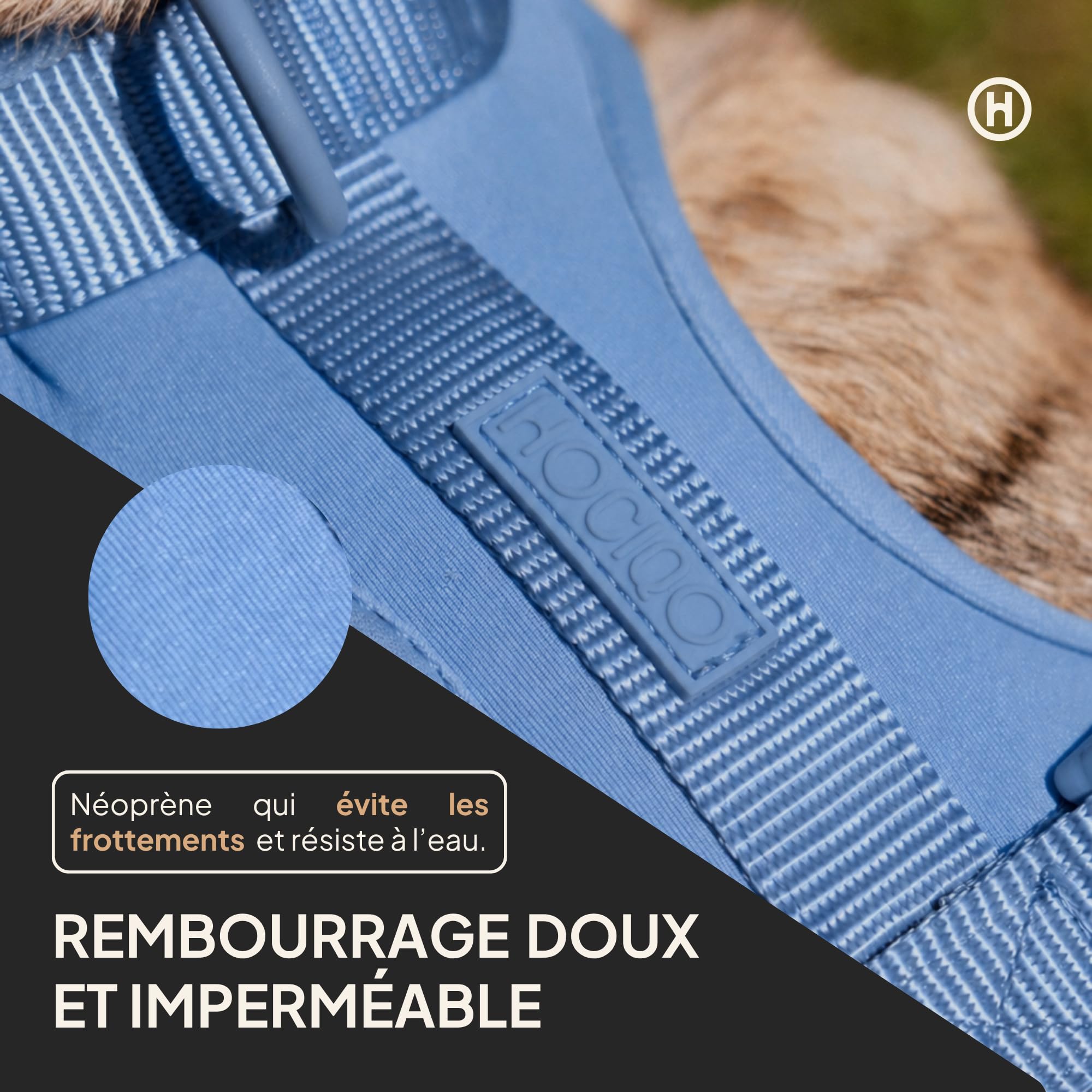 Harnais pour Chiens de Grande Taille Moyenne et Petite, Harnais rembourré, Anti-Traction, Confortable et réglable pour Animaux de Compagnie, Couleur Sky, Taille L