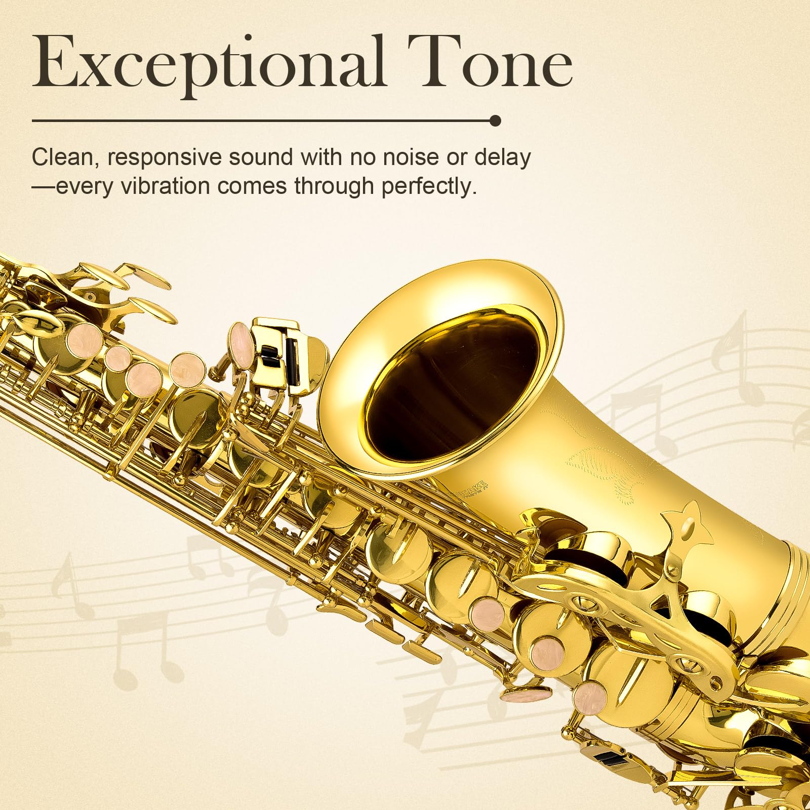 SONICAKE Saxophone Alto Mi bémol Vernis Or, Kit complet pour débutant avec étui, bec, anches, support & accessoires QSX-01