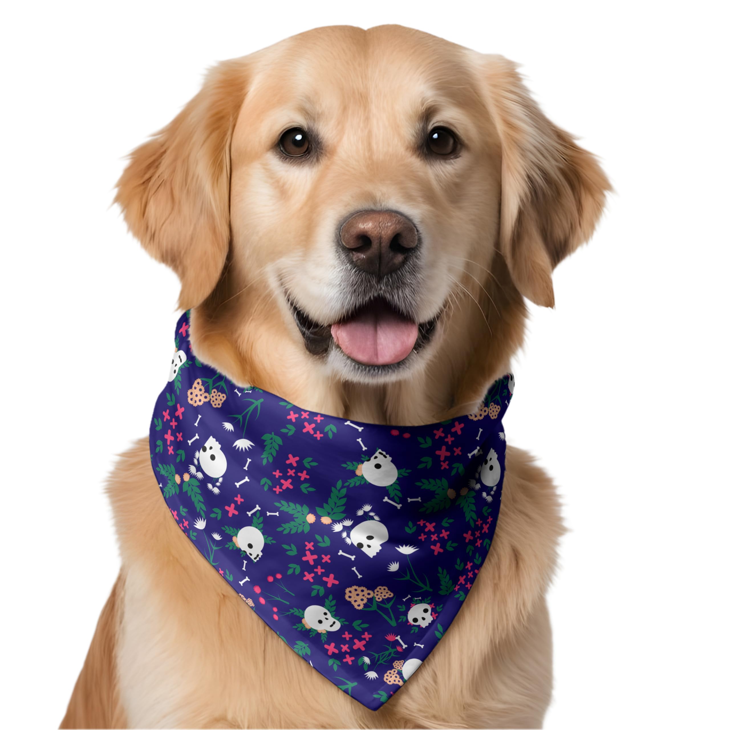W Brings Skulls are Bad Ass Bandana/Scarf | This Stunning Gorgeous Design Dog Bandana Scarf is Perfect Styling Accessory for Dogs Large, Medium & Small. One Size Fits All. (B09TSQBFVH) Amazon Price History, Amazon Price Tracker