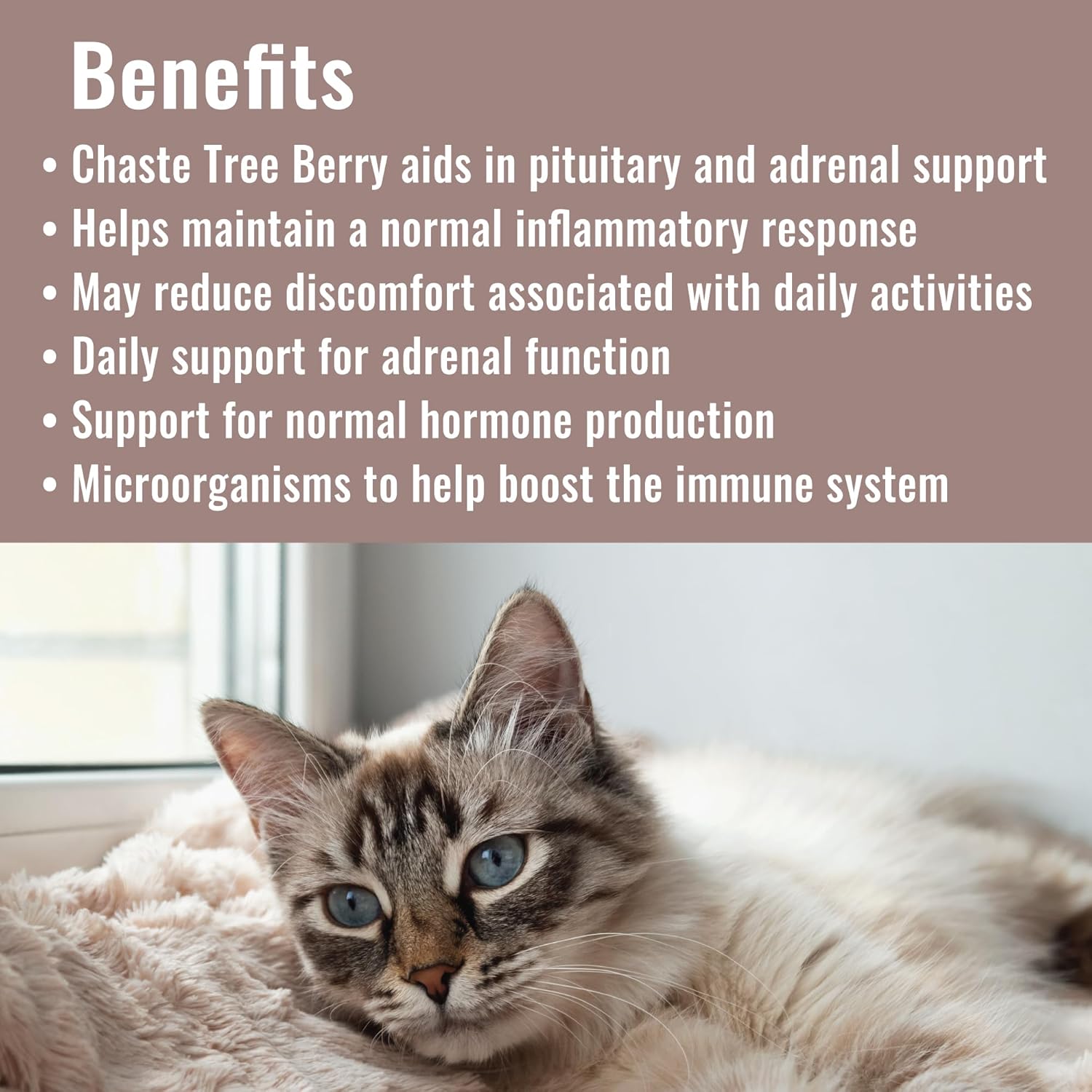Choline (7 Ounce)