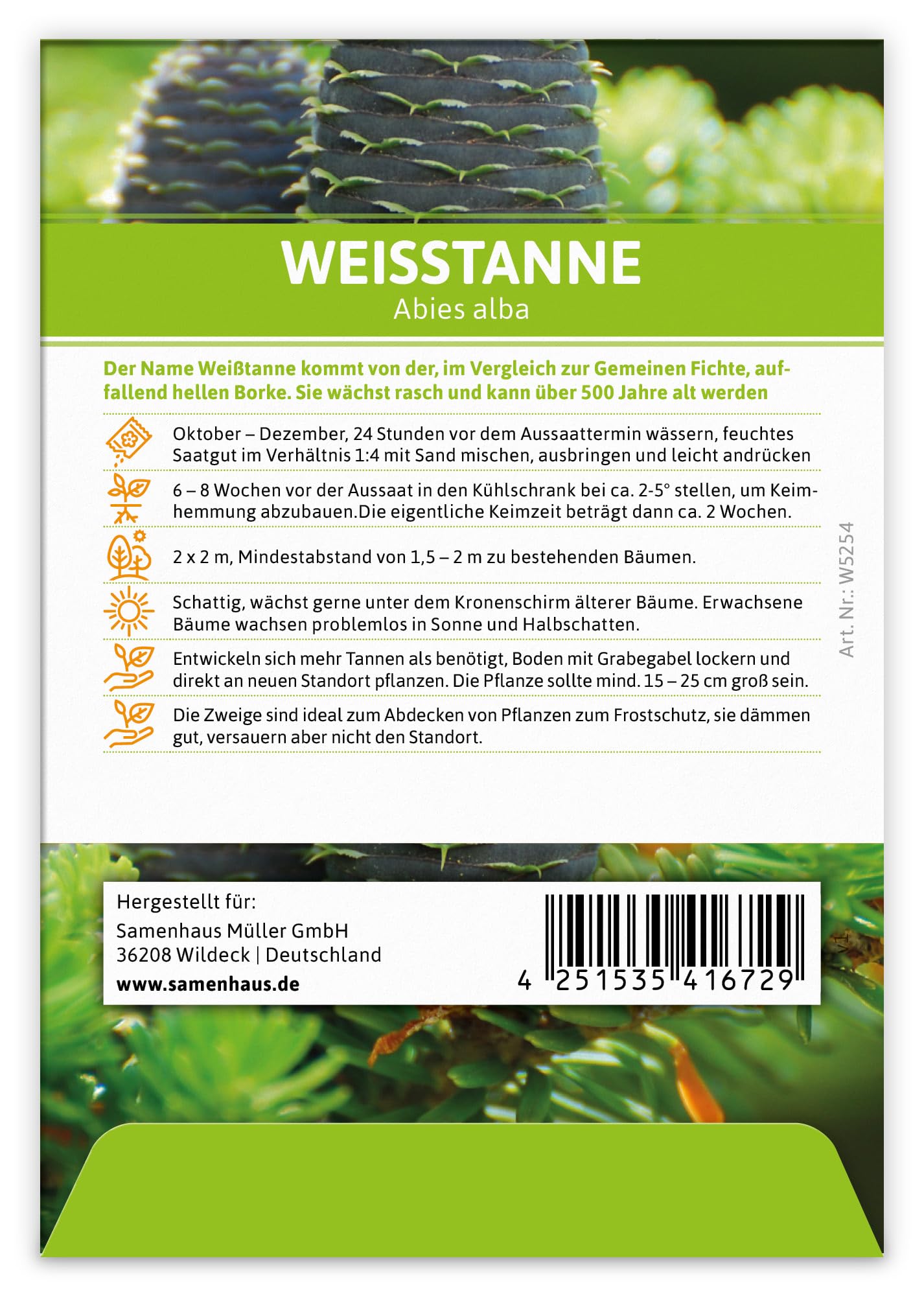 FLORTUS W5254-100x Weißtanne (Regionale Sorte Schwarzwald) (100 Tütchen) (Saatgut für Werbezwecke)