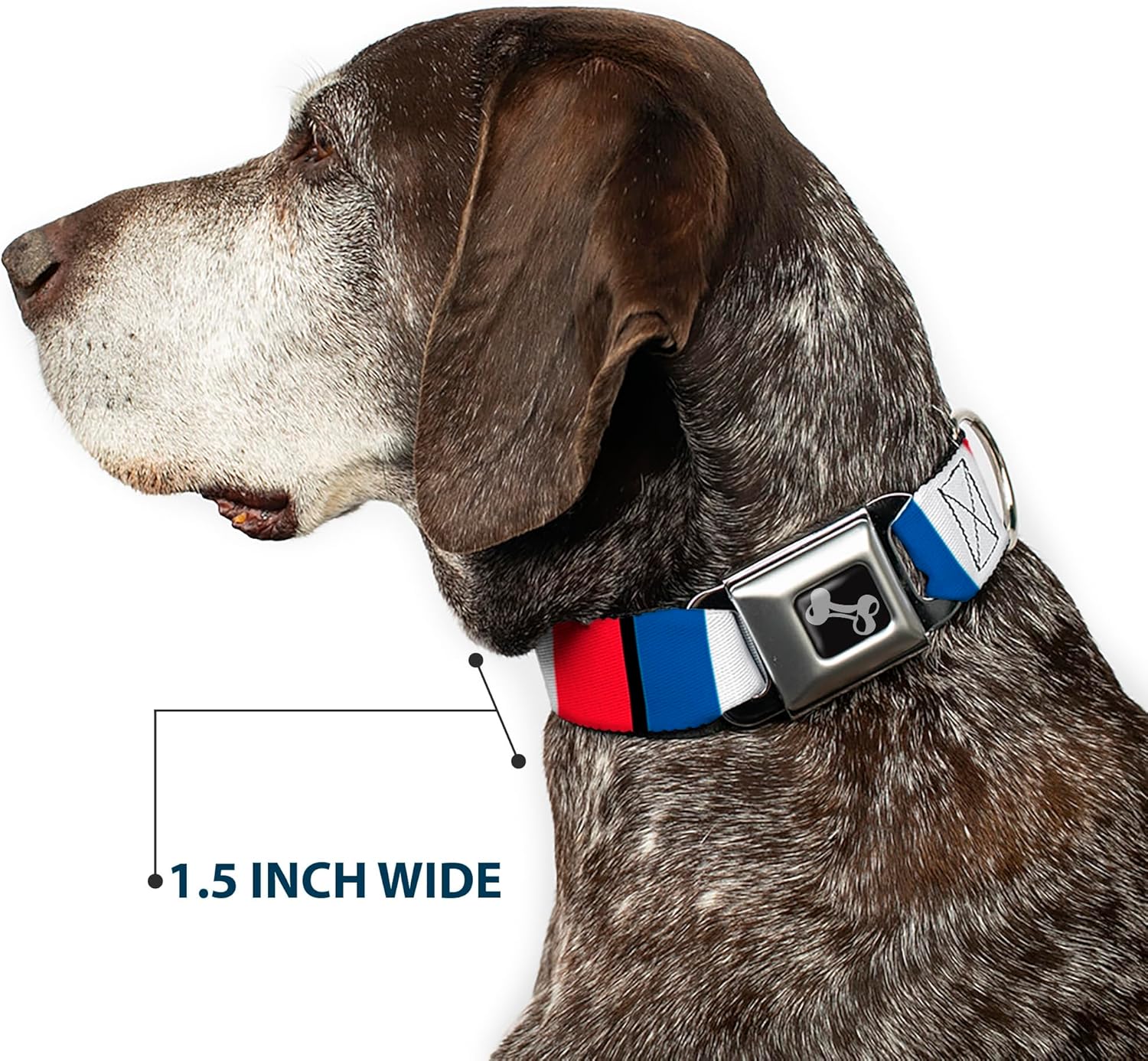 Buckle-Down Seatbelt Buckle Dog Collar - France Flags - 1" Wide - Fits 15-26" Neck - Large