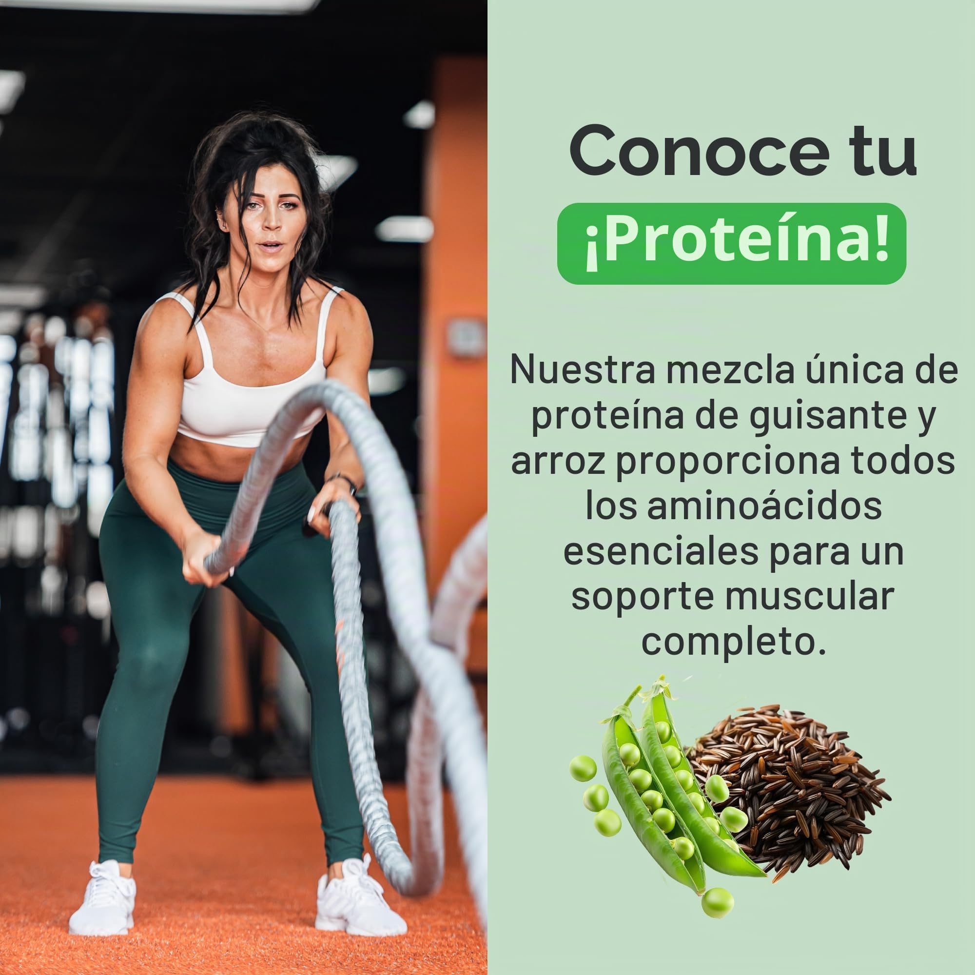 PEScience Select Protein Vegan Series, Peanut Butter Delight - 837G 980 g | Proteína en polvo a base de plantas, mezcla de guisantes y arroz integral, sin lácteos, sin lactosa, sin gluten