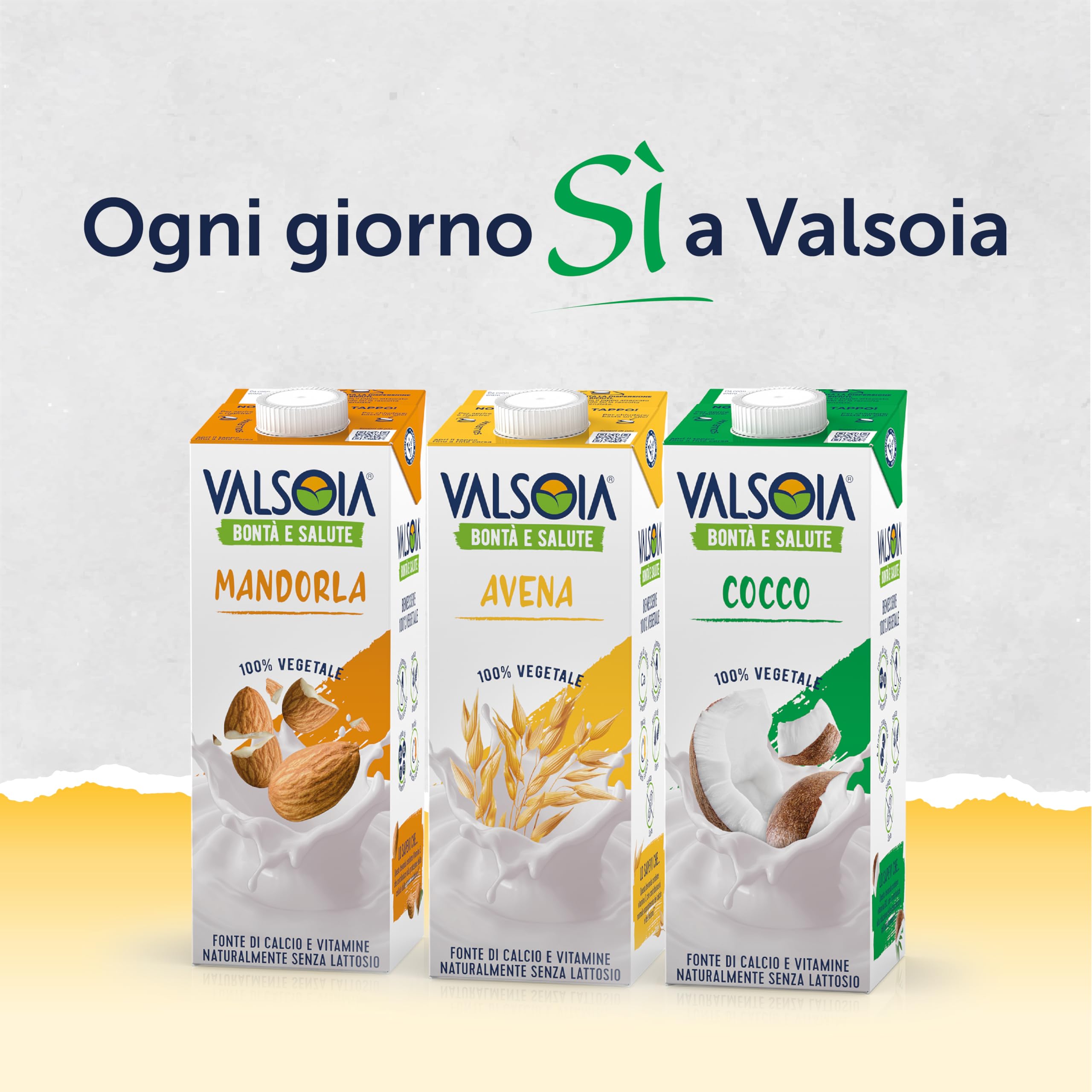 Valsoia - Bevanda Avena Drink, Box da 10 Tetra Brik da 1000 ml, 100% Vegetale, Senza Lattosio, con Calcio e Vitamine, Ideale anche per Vegani e Vegetariani, può Contenere Tracce di Glutine