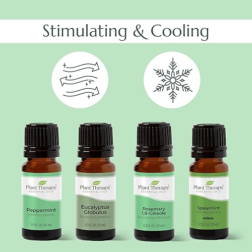 Miniatura 5 de Juego de 14 aceites esenciales de primera calidad. Incluye aceites 100% puros de grado terapéutico de Bergamota, salvia esclarea, canela, eucalipto,