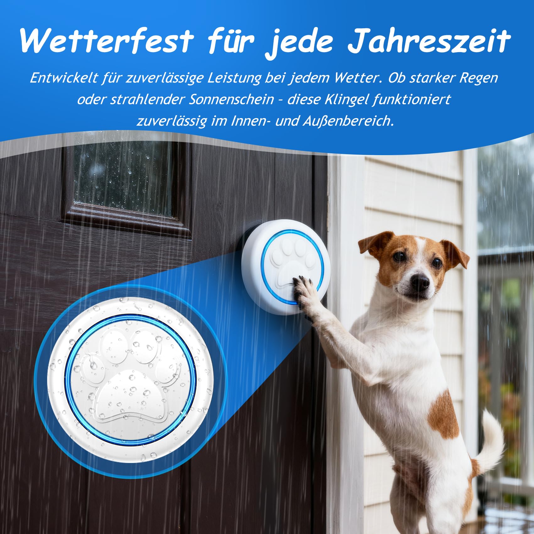 A6 Wht Katzenklingel & Hundeklingel – Kabellose Haustier-Türklingel für Außenbereich, 300 m Reichweite, 60 Melodien, LED-Signal, Wasserdicht, Buzzer Hund & Katzen (1 Klingeltaster + 1 Empfänger)