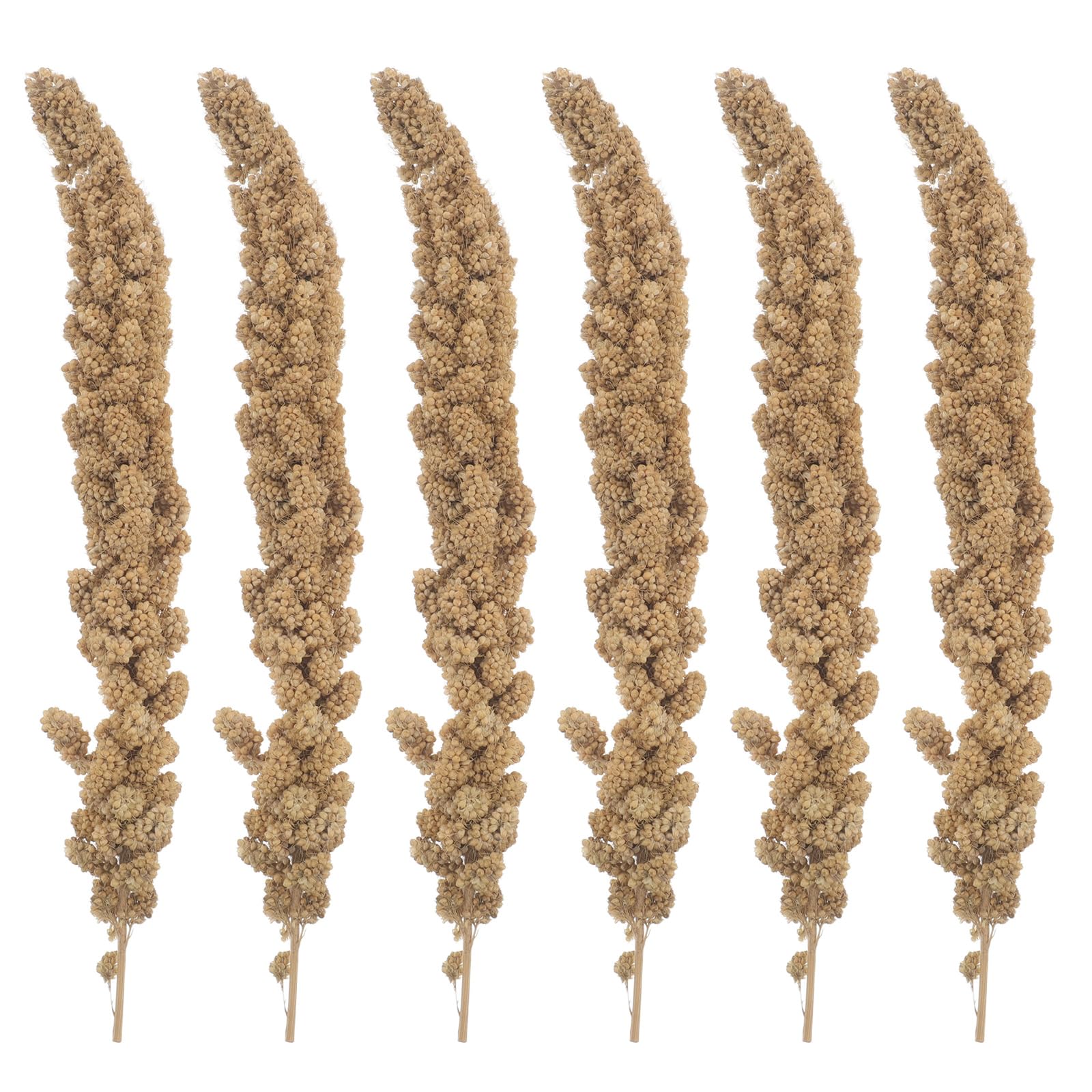 Getrocknete Hirse Leckerli für Papageien und Wellensittiche Natürlicher Vogelsnack 500g Vitaminreiches Trainingsfutter für Kleine Ziervögel