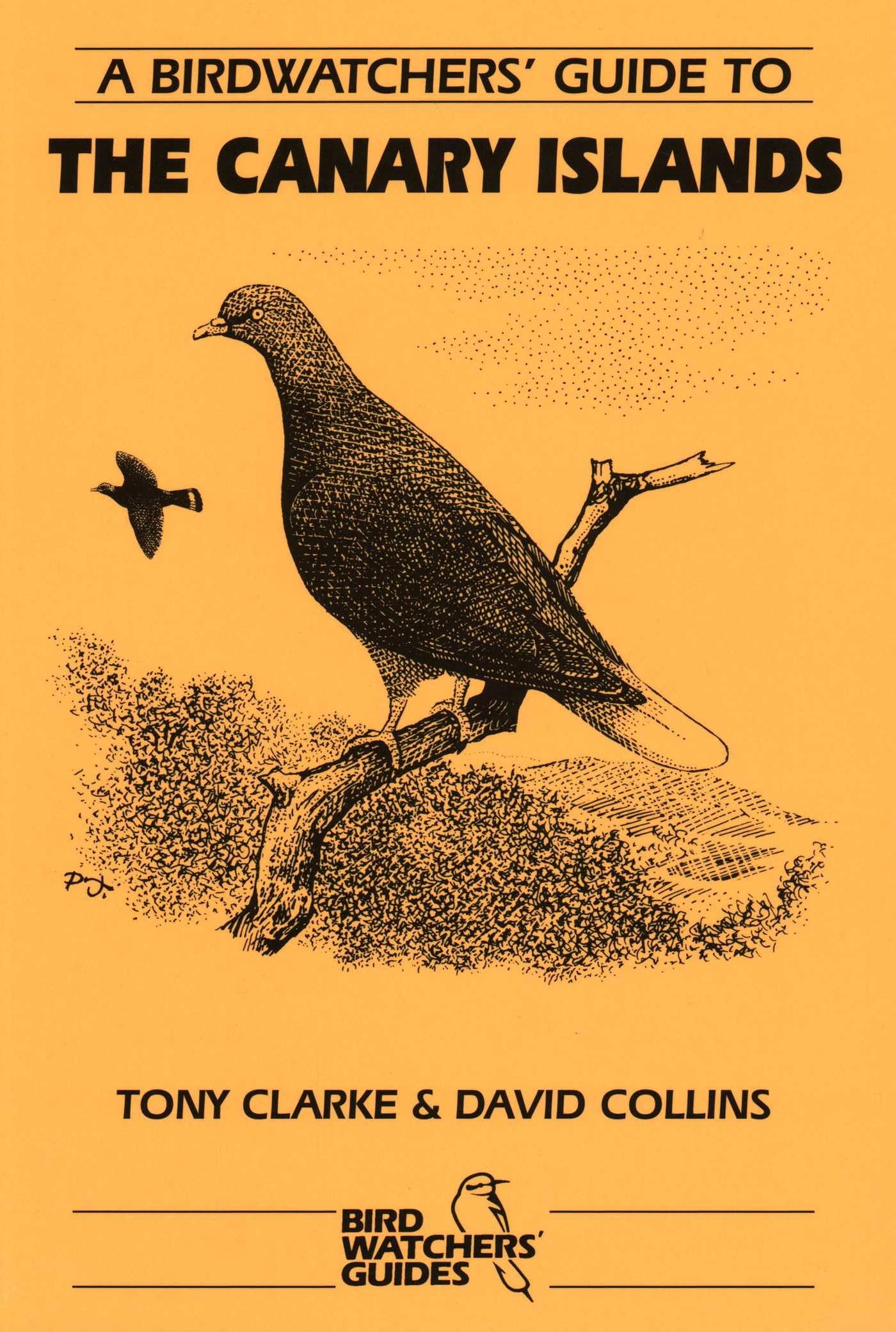 A Birdwatchers' Guide to the Canary Islands: Site Guide (Where to Watch Guides) (Prion Birdwatchers' Guide Series)