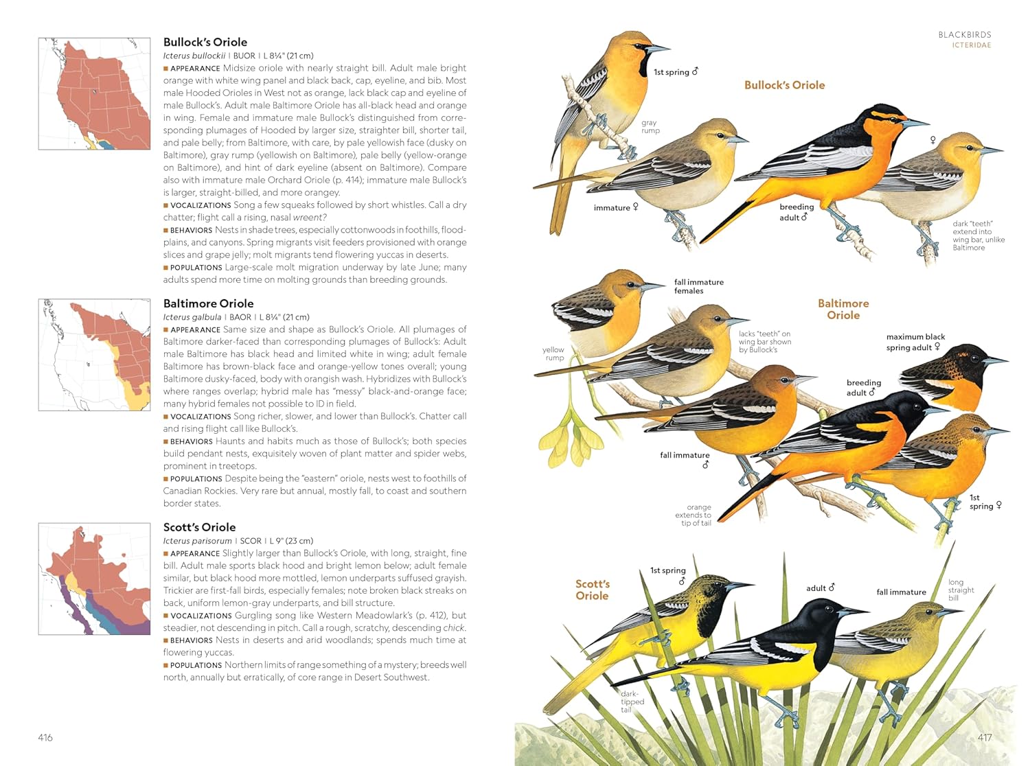 National Geographic Field Guide to the Birds of the United States and Canada―West, 2nd Edition - Image 4