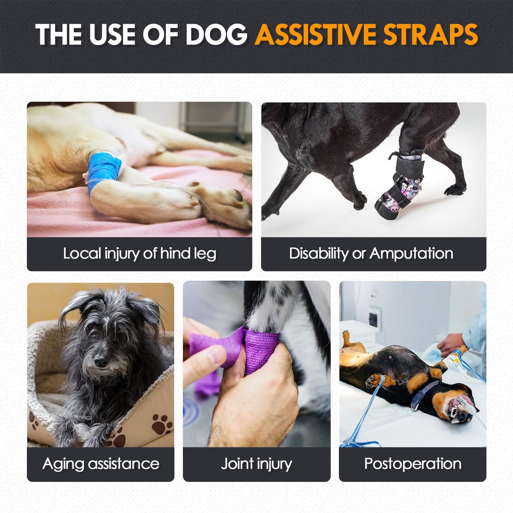 PAWIVID Dog Lift Harness for Back Legs, Adjustable Support Sling for Injured Disabled & Elderly Dogs - Image 4