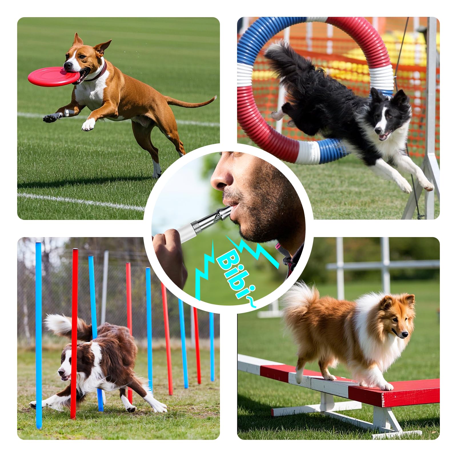 DIZU Hundepfeife, Hundetrainingspfeife mit Umhängeband, 2 Stück, verstellbar, Ultraschall, geräuschlos, professionelle Hundepfeife, um das Bellen von Nachbarn zu stoppen (Schwarz und Weiß)