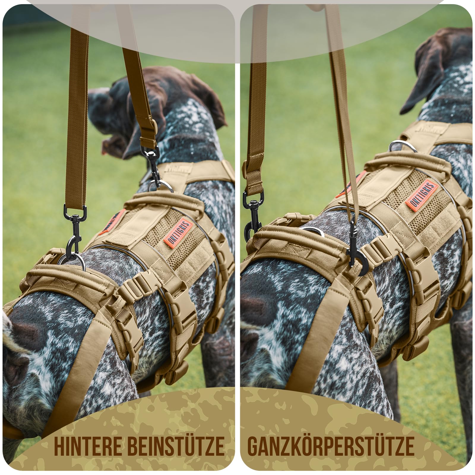OneTigris Pettorina per cani, SKYEWALKER Supporto Imbracatura regolabile con 2 manici per supporto e riabilitazione, adatta per cani di taglia media e grande, marrone, M