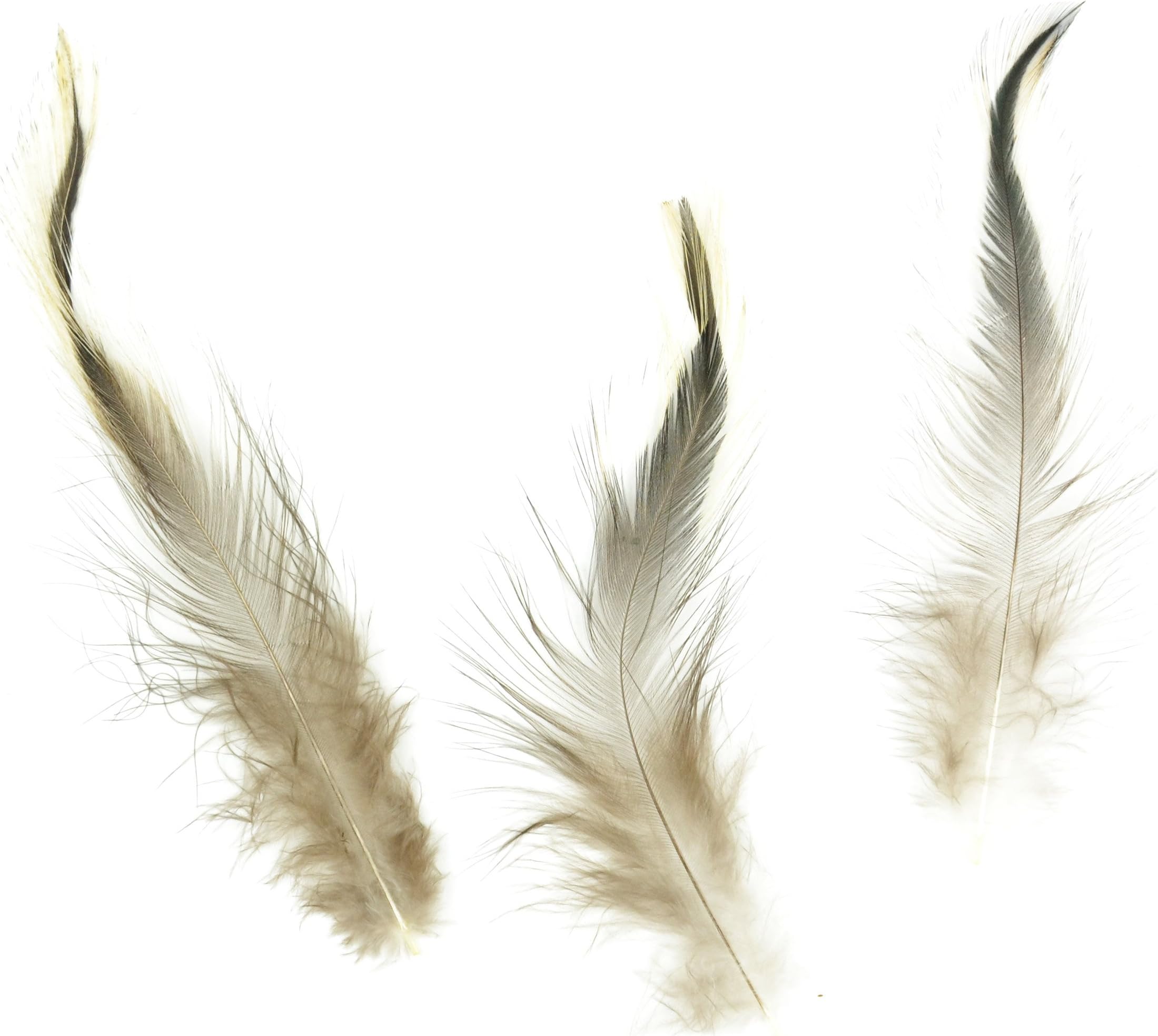 Designer Feathers 38318 Yellow Badger Hackle Feathers, Natural