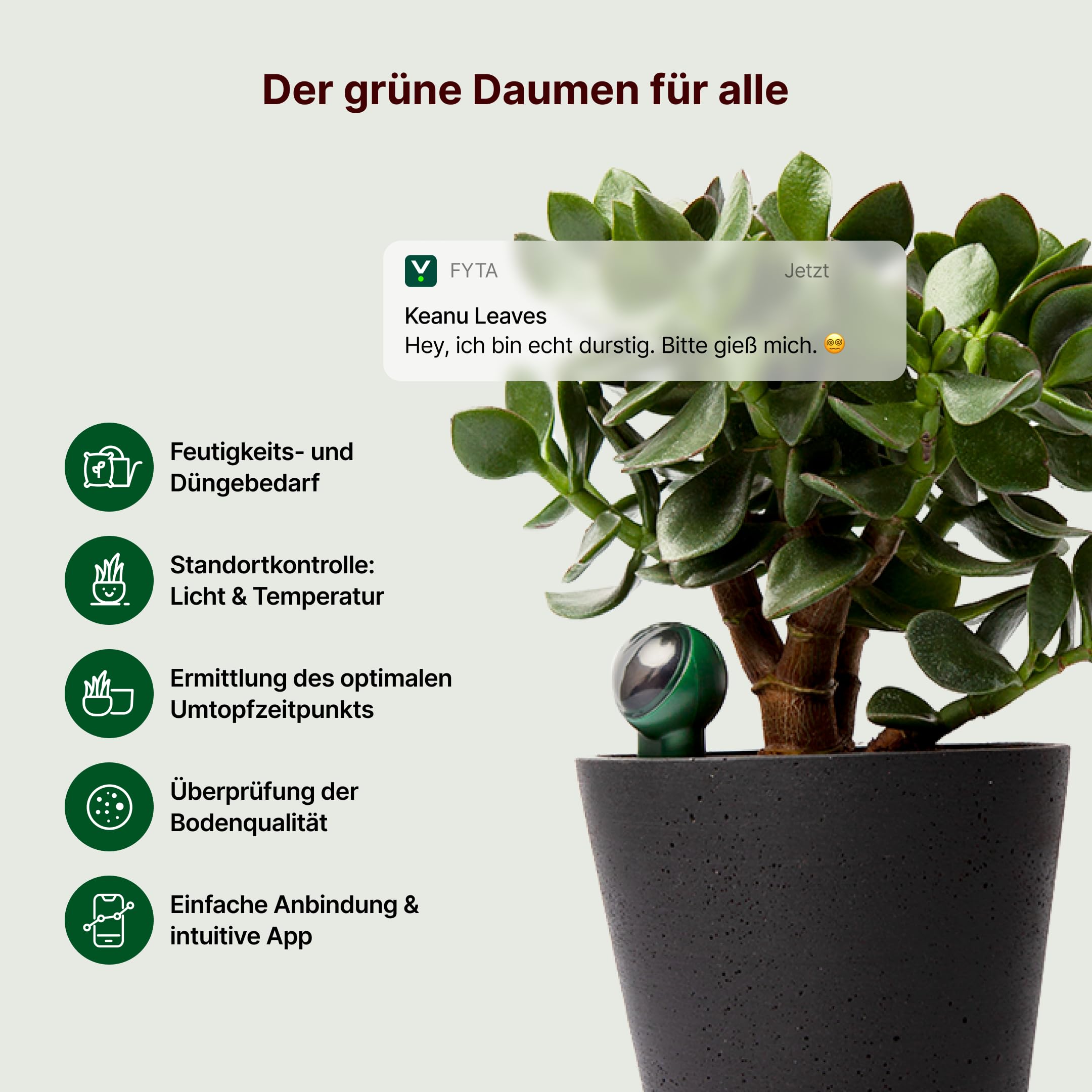 FYTA Beam G1 Smarter Pflanzensensor - Misst Wasser, Temperatur, Licht, Düngebedarf - Pflanzen Feuchtigkeitsmessgerät, Bodenfeuchtesensor, Temperatursensor, Gießanzeiger Zimmerpflanzen - iOS Android