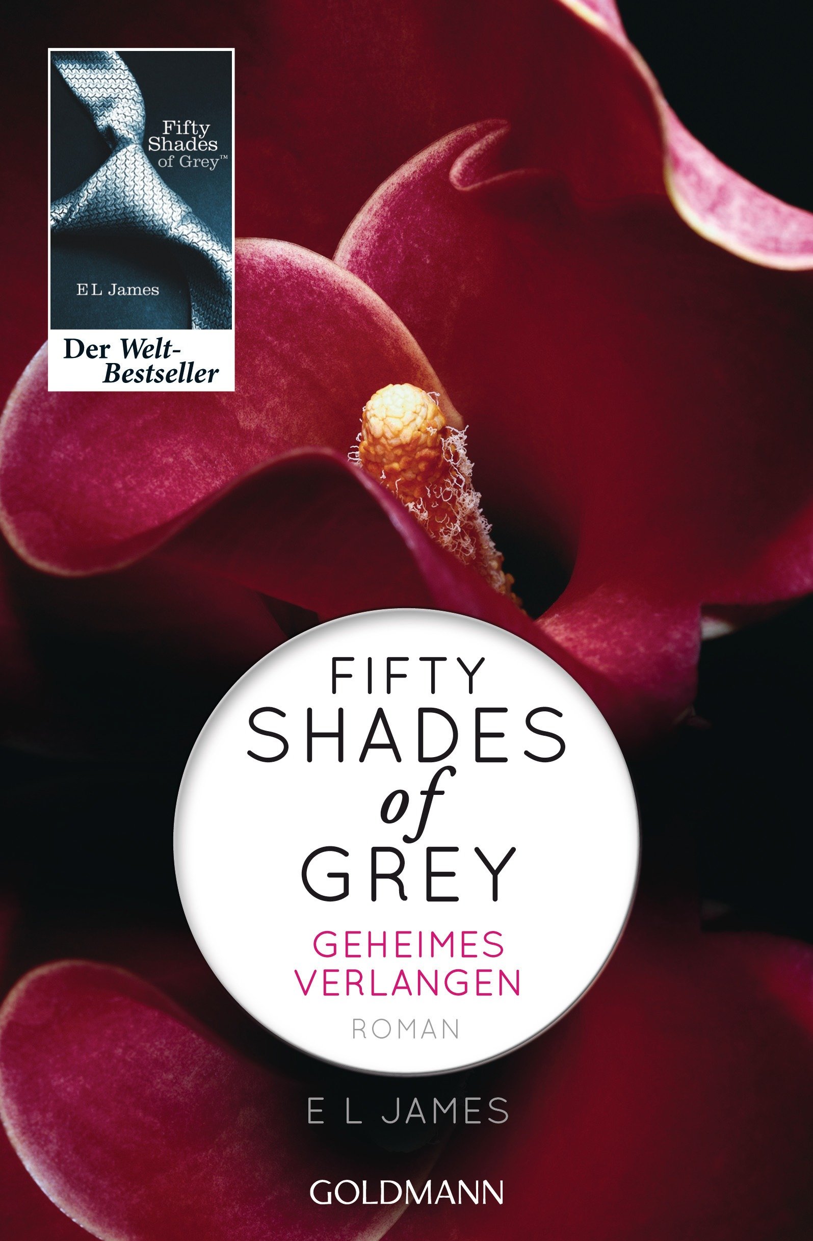 Fifty Shades Of Grey Neues Buch Leseprobe Fifty Shades of Grey - Geheimes Verlangen: Roman : James, E L, Brandl