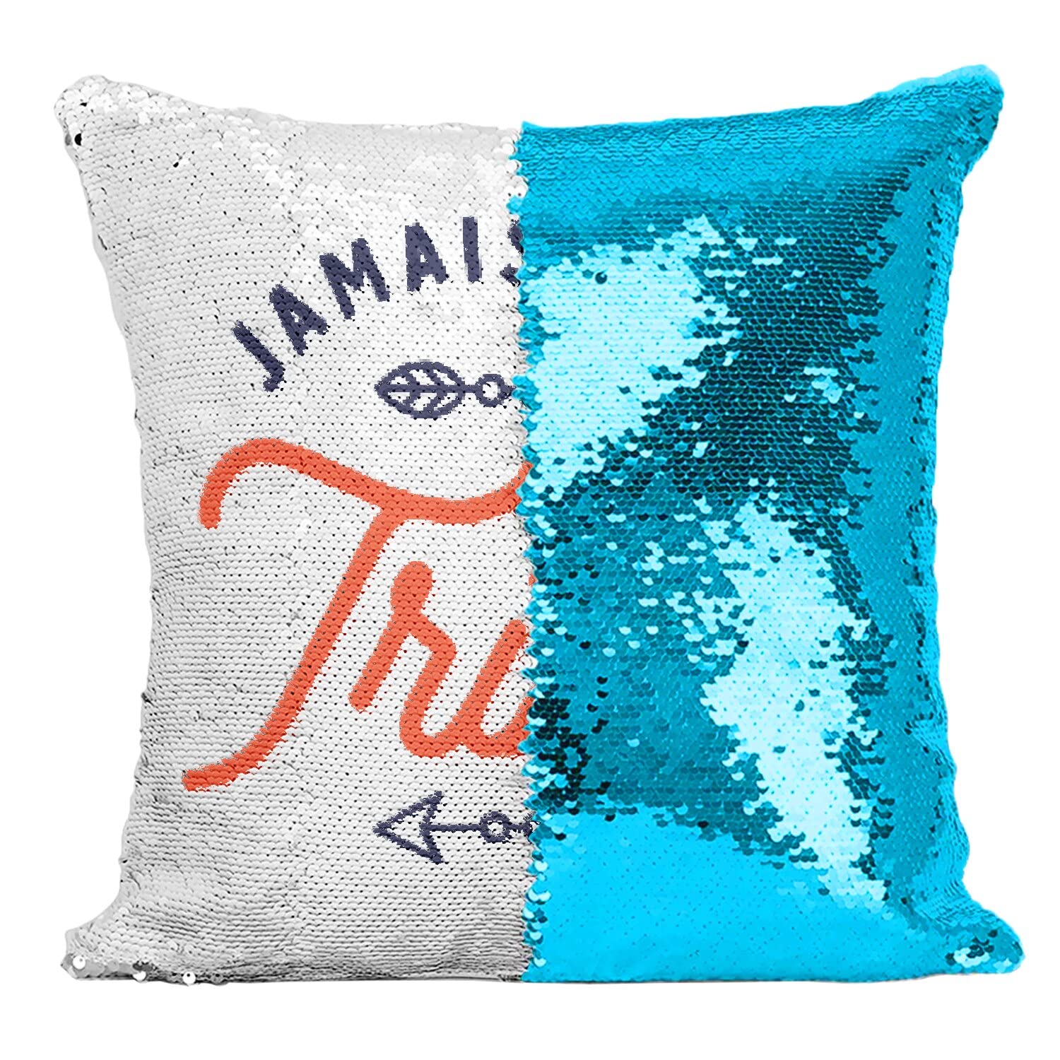 Coussin sequin turquoise humour famille decoration salon canape original