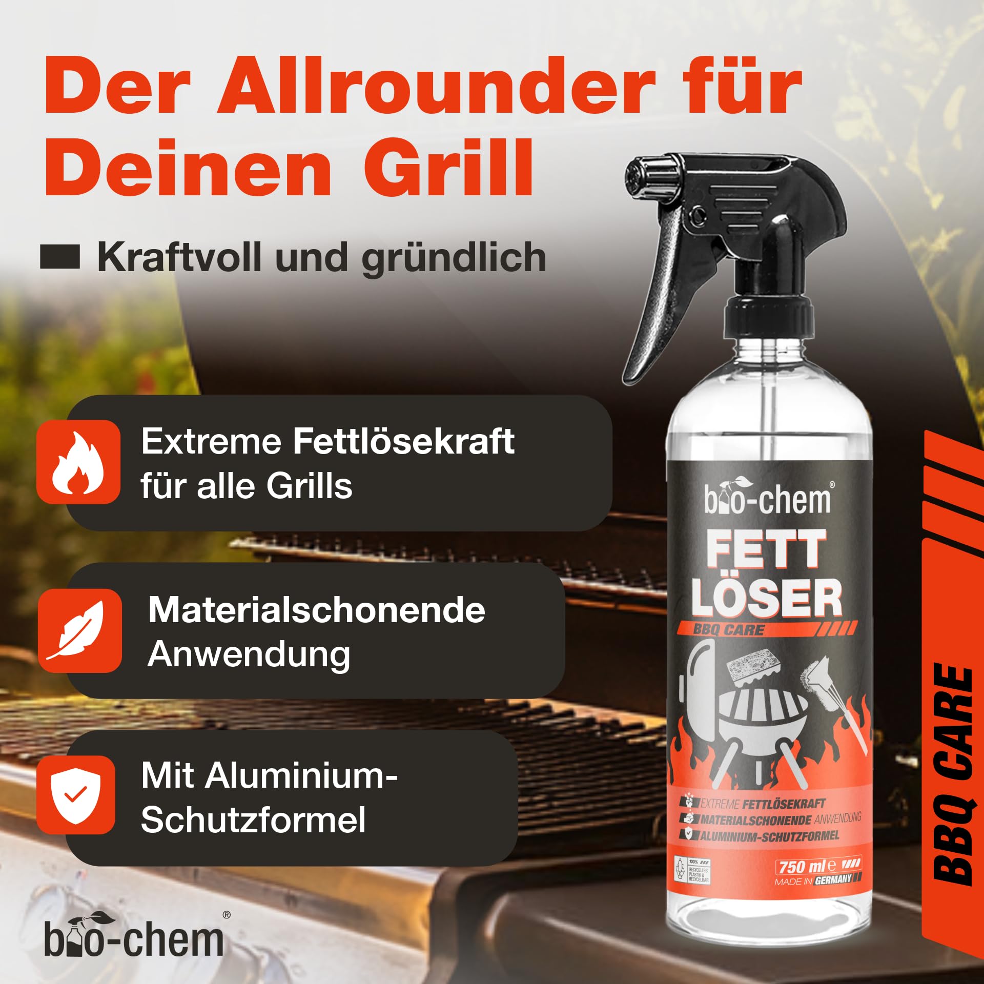 Accessoire Pour Barbecue Et Fumoir - Nettoyage Noir & Amazon Basics