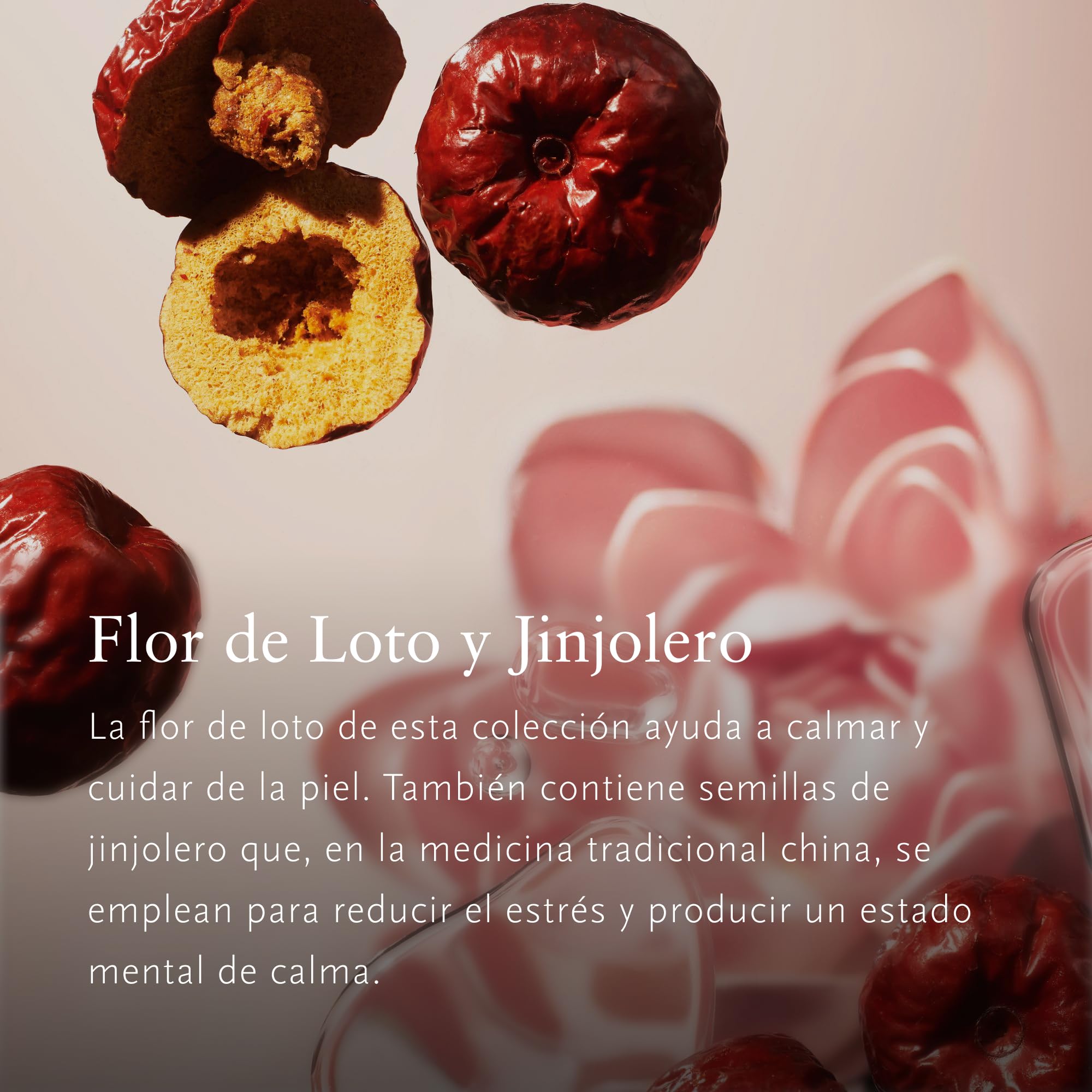 RITUALS Set de Regalo The Ritual of Jing Large - Esenciales para el Hogar Enriquecidos con Flor de Loto y Jujube - Caja de Regalo con una Fragancia Ultra-Relajante – Incluye Perfume para el Hogar, Vel