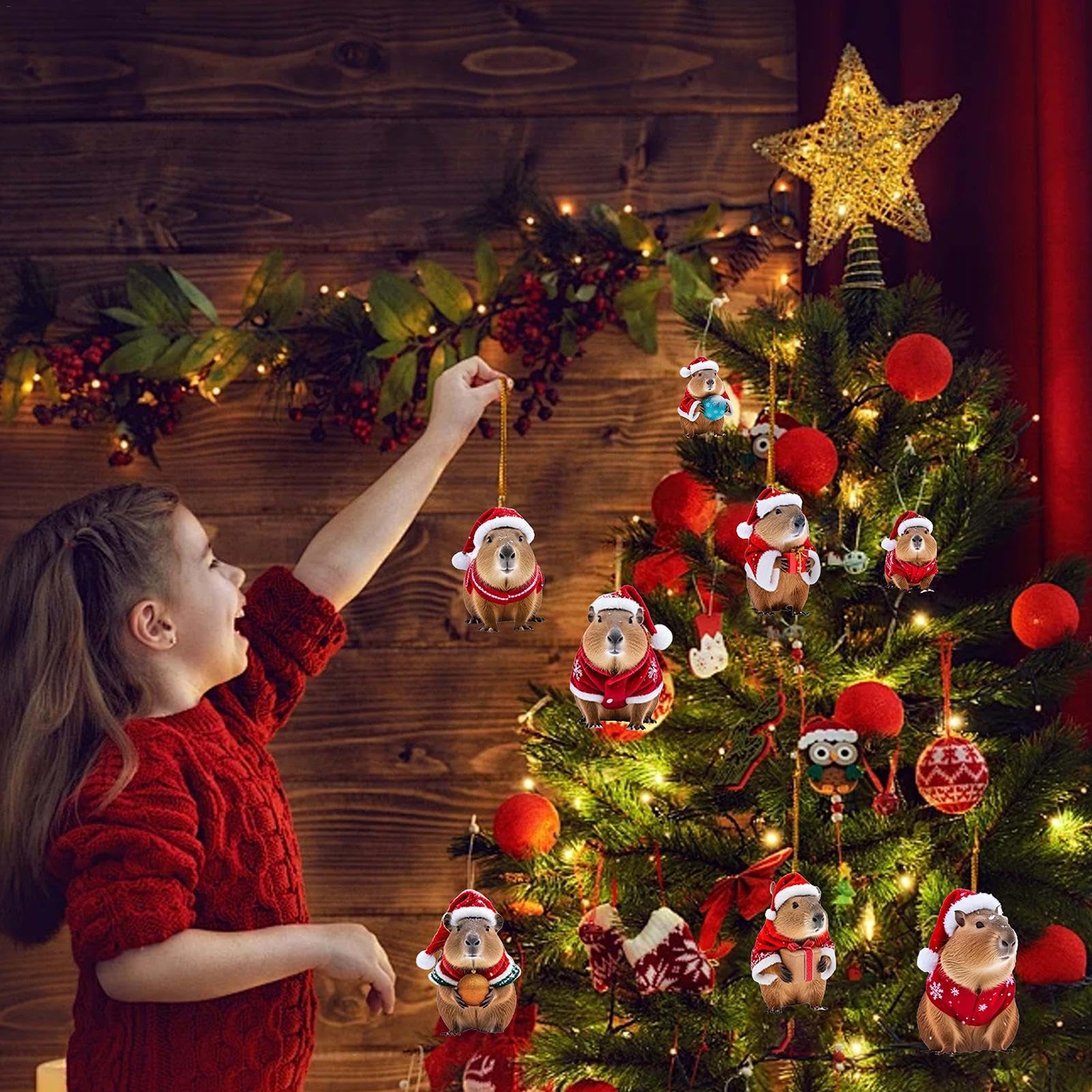 Capybara Adventskalender 2024 - 24 Tage Mit 2D Acryl Anhängern