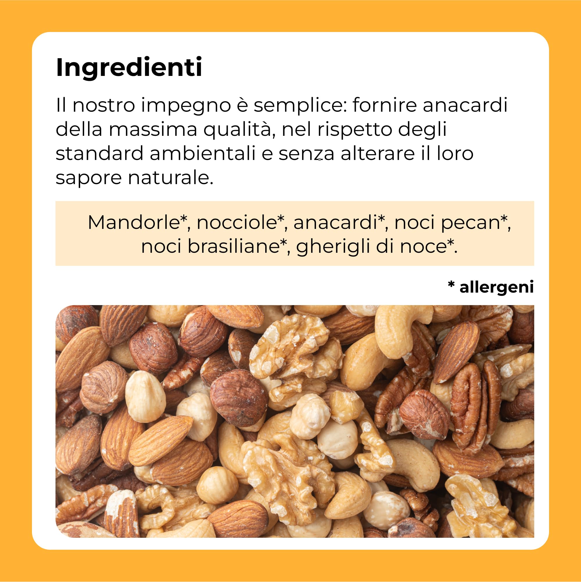 Miscela di noci 1 Kg (mandorle, nocciole, Anacardi, noci Pecan, noci del Brasile e gherigli di noce)