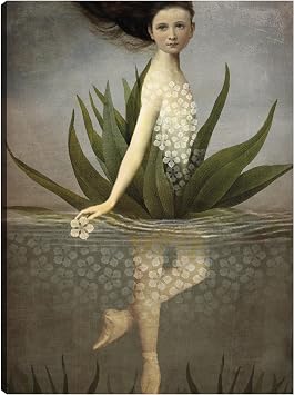 Fine Art Canvas Waterlily Canvas Wall Decor by Artist Catrin Welz-Stein for Living Room, Bedroom, Bathroom, Kitchen, Office, Bar, Dining & Guest Room - Ready to Hang - 12 in x 16 in
